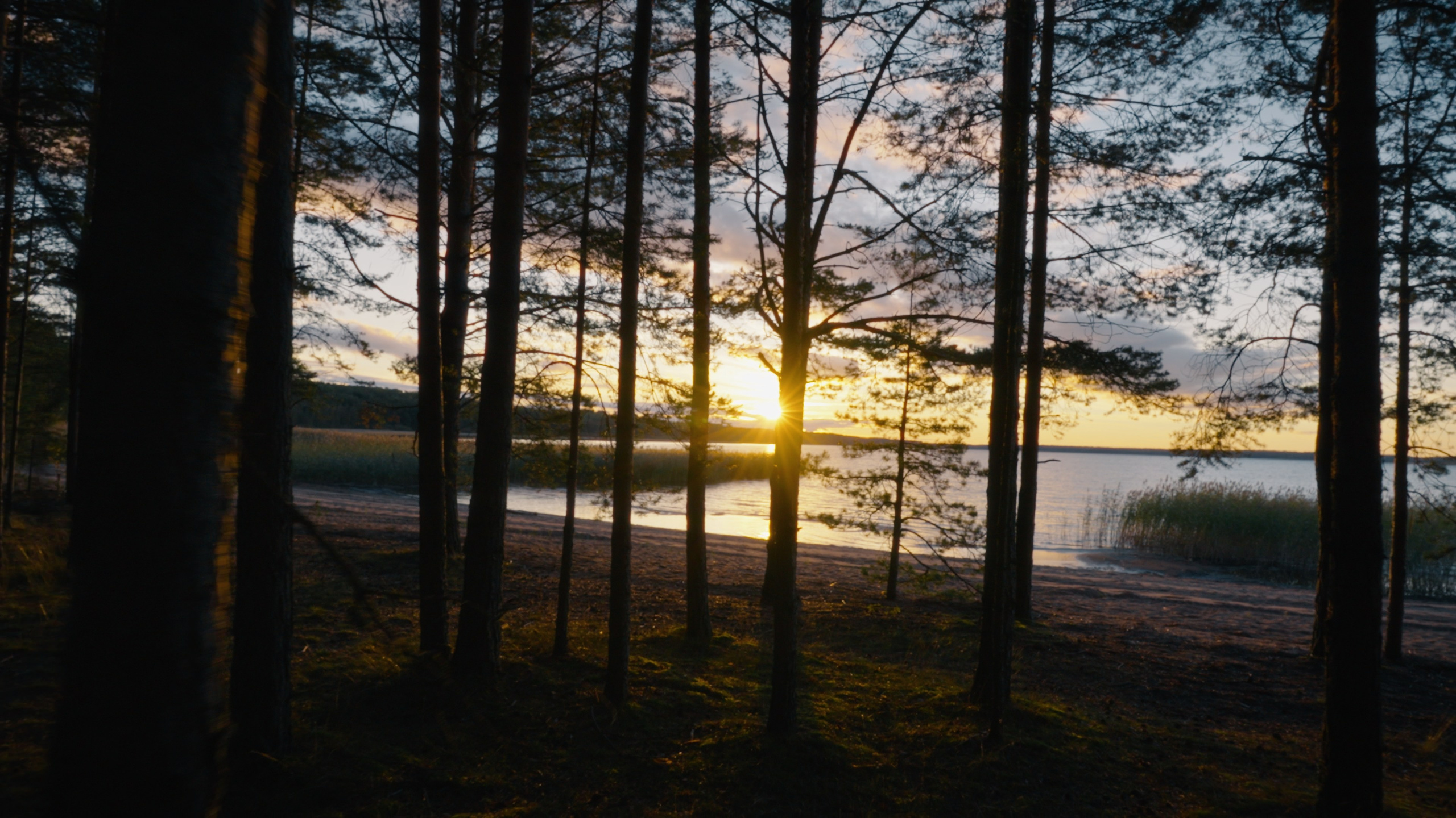 Тихолесье — Ваш дом и уют (promo). Цветокоррекция видео онлайн Иван Сержанов