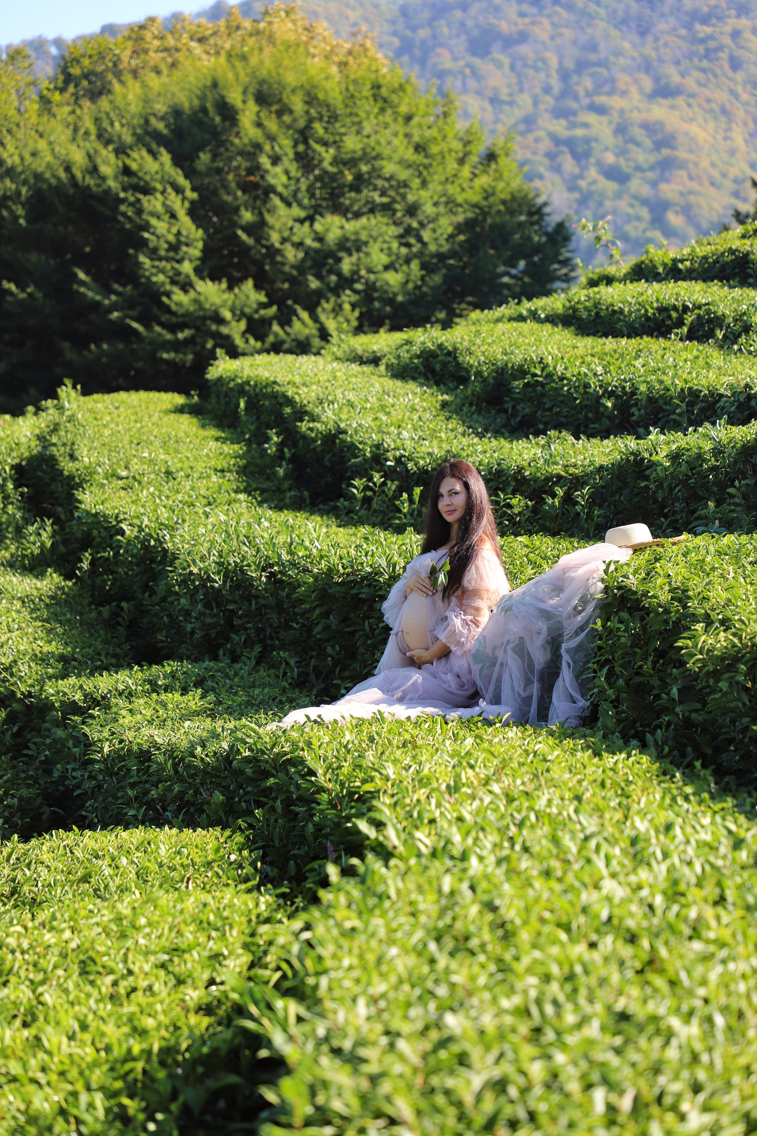 Беремняшка Мацеста чайные плантации 27.08. Главная