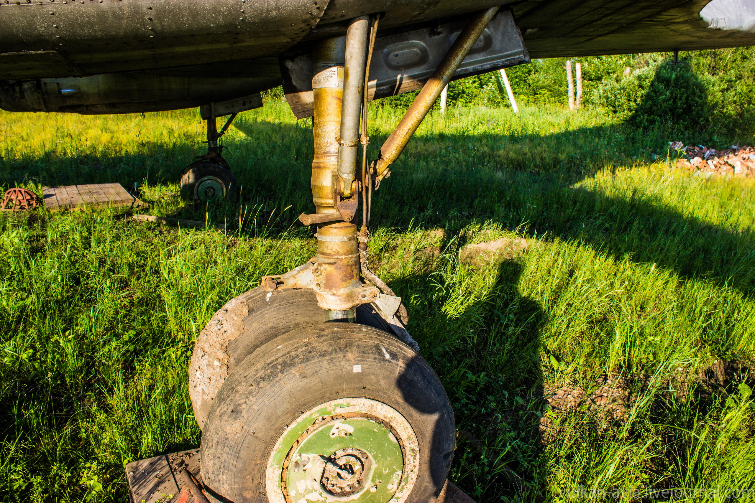 Ил-14 (Пермь, Фролы). Фотоальбом показывающий увлекательный мир авиации и мир медведей Андрея Иванова