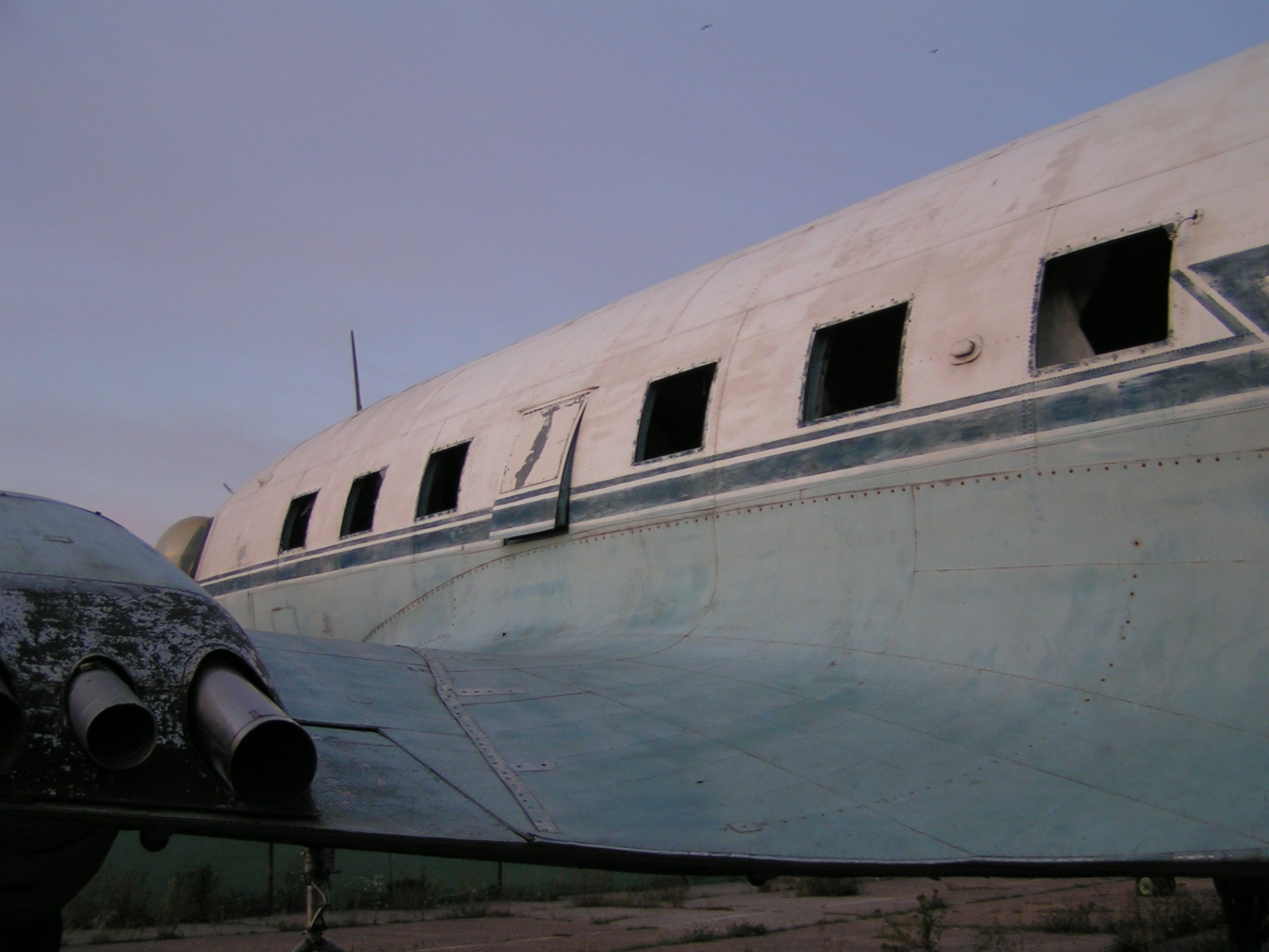 Ил-14 (Ходынка) — уничтожен. Фотоальбом показывающий увлекательный мир авиации и мир медведей Андрея Иванова