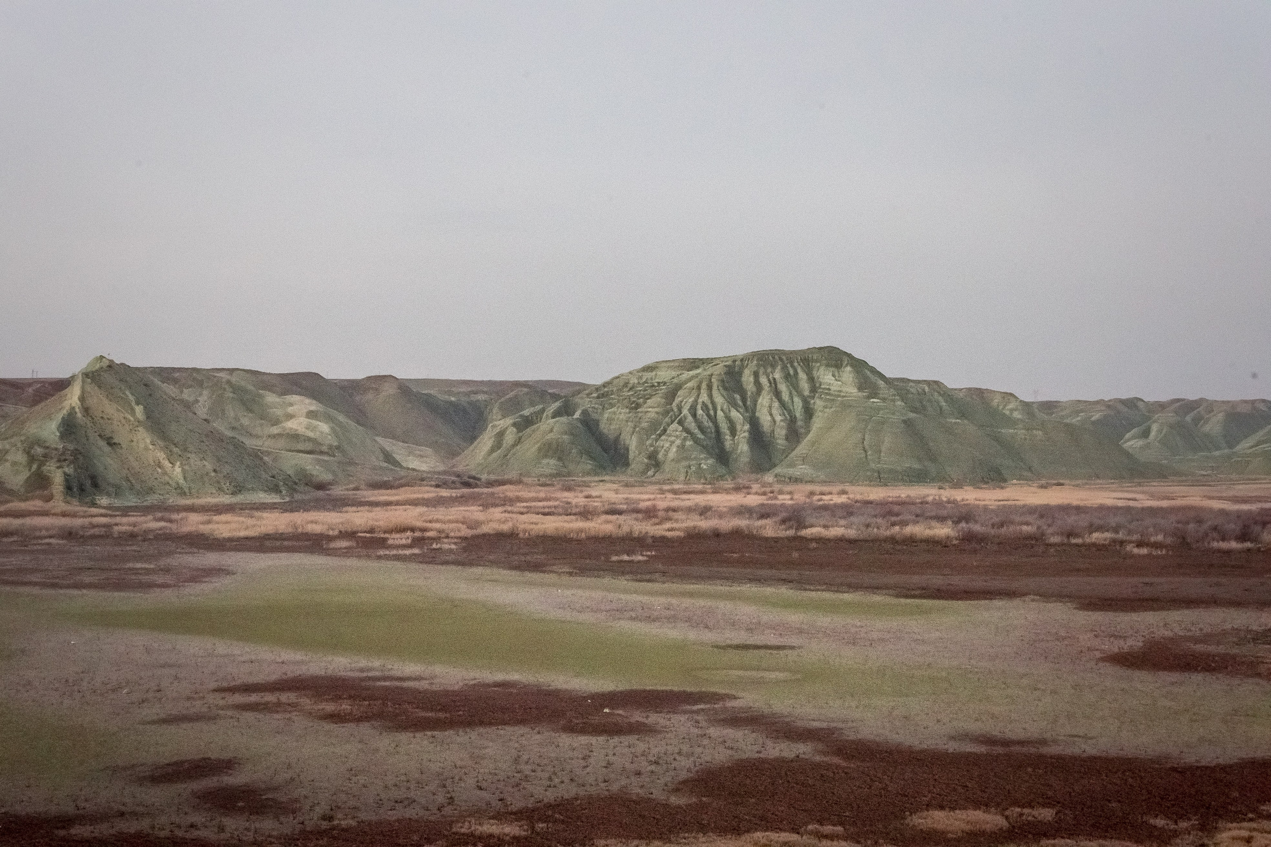 Турция, Птичий заповедник Наллихан. Юля Дэй • Фотограф, Санкт-Петербург