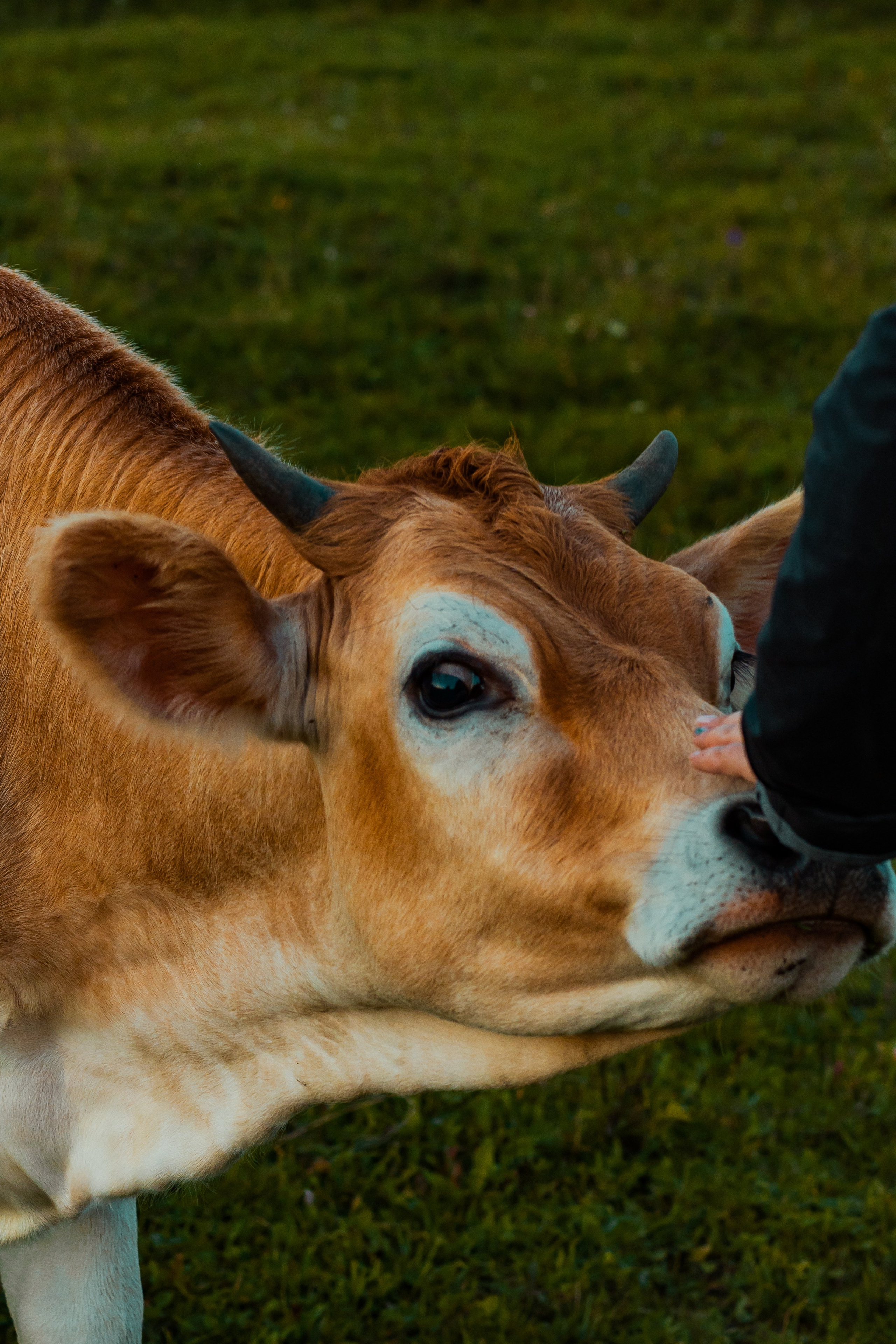 Деревня Мишнево | Калужская область. Папка кадров 📁