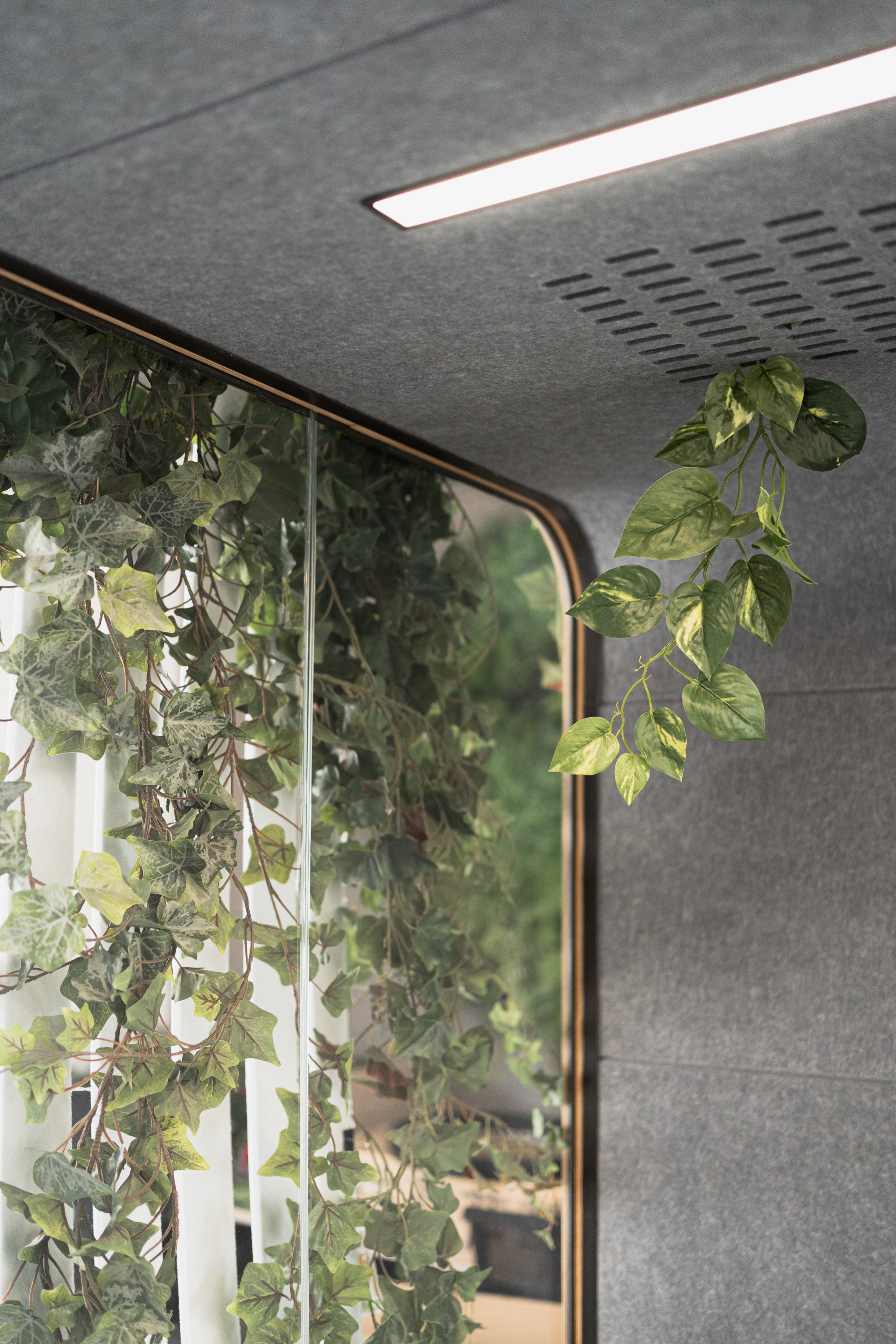 Terra. Елена Пашкевич, фотограф, Москва