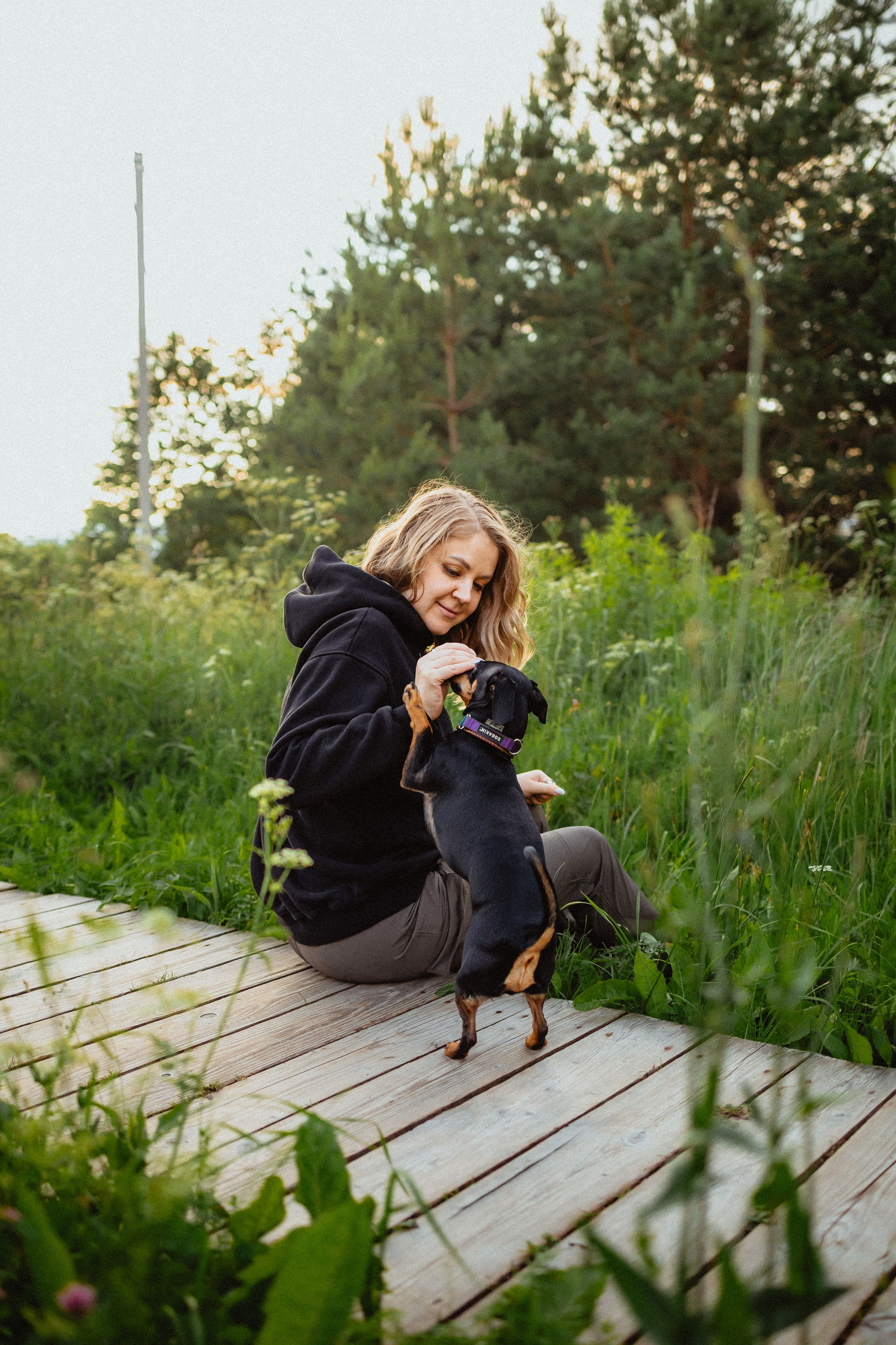 Выездной дог-тренинг от школы «Шерсть имею»