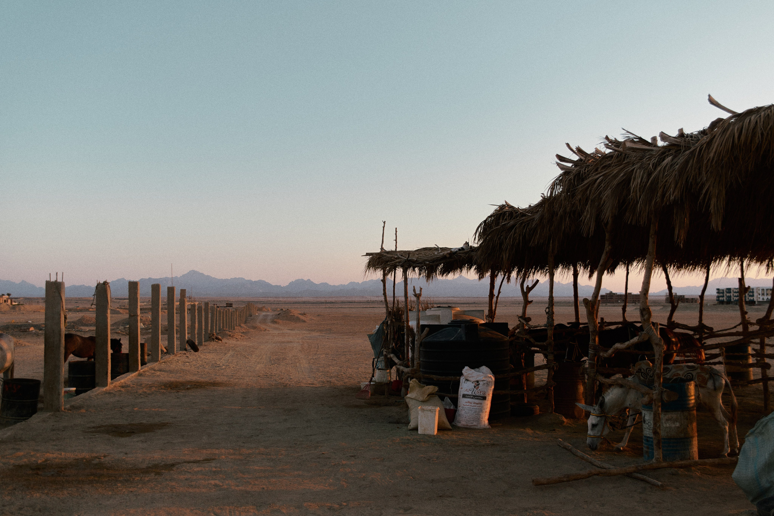 Улица горизонтальная. Jorgis — фотограф в Хургаде / обучение фотографии