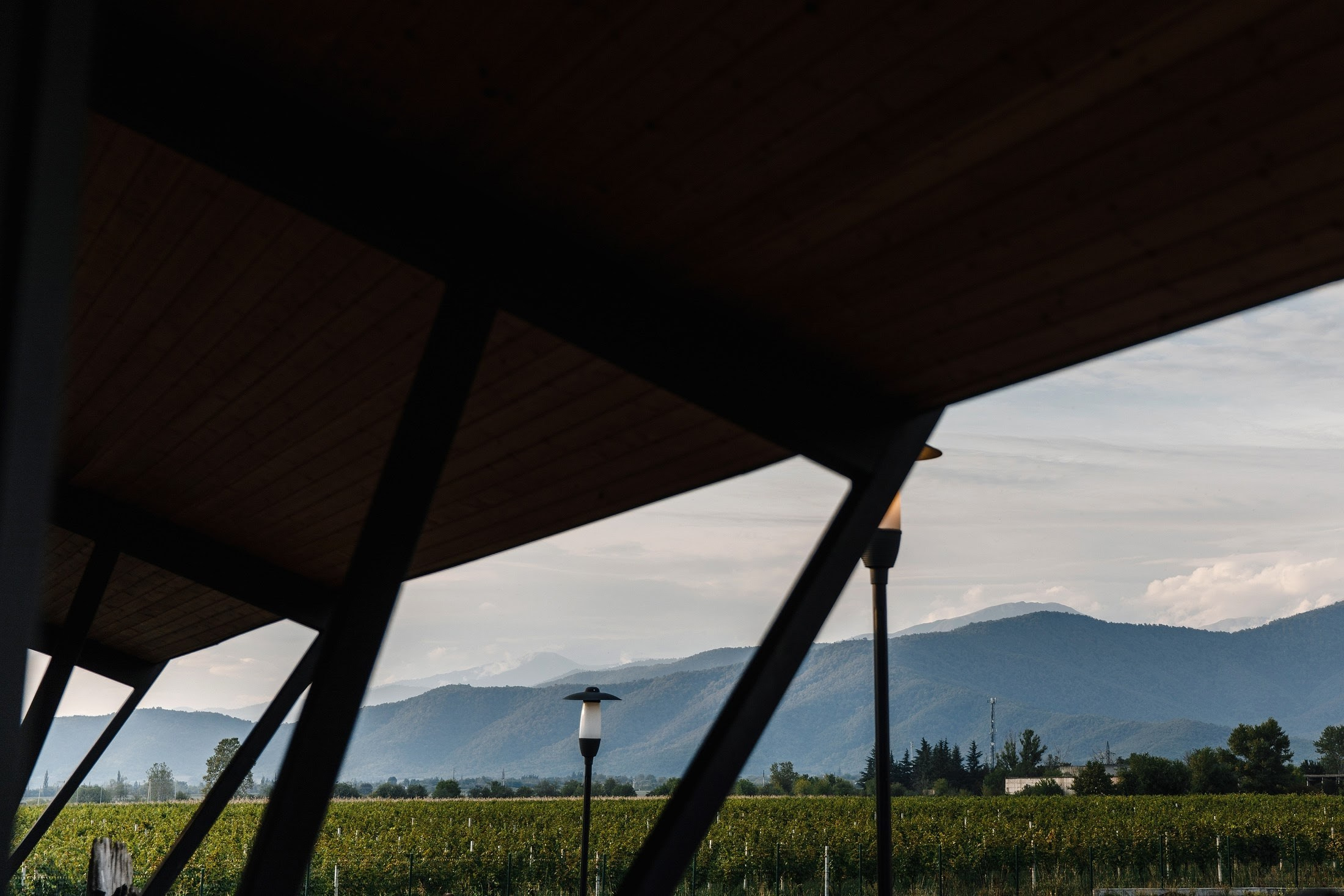 Максим и Алена. Свадебный фотограф в Москве и МО Александр Ласковенков