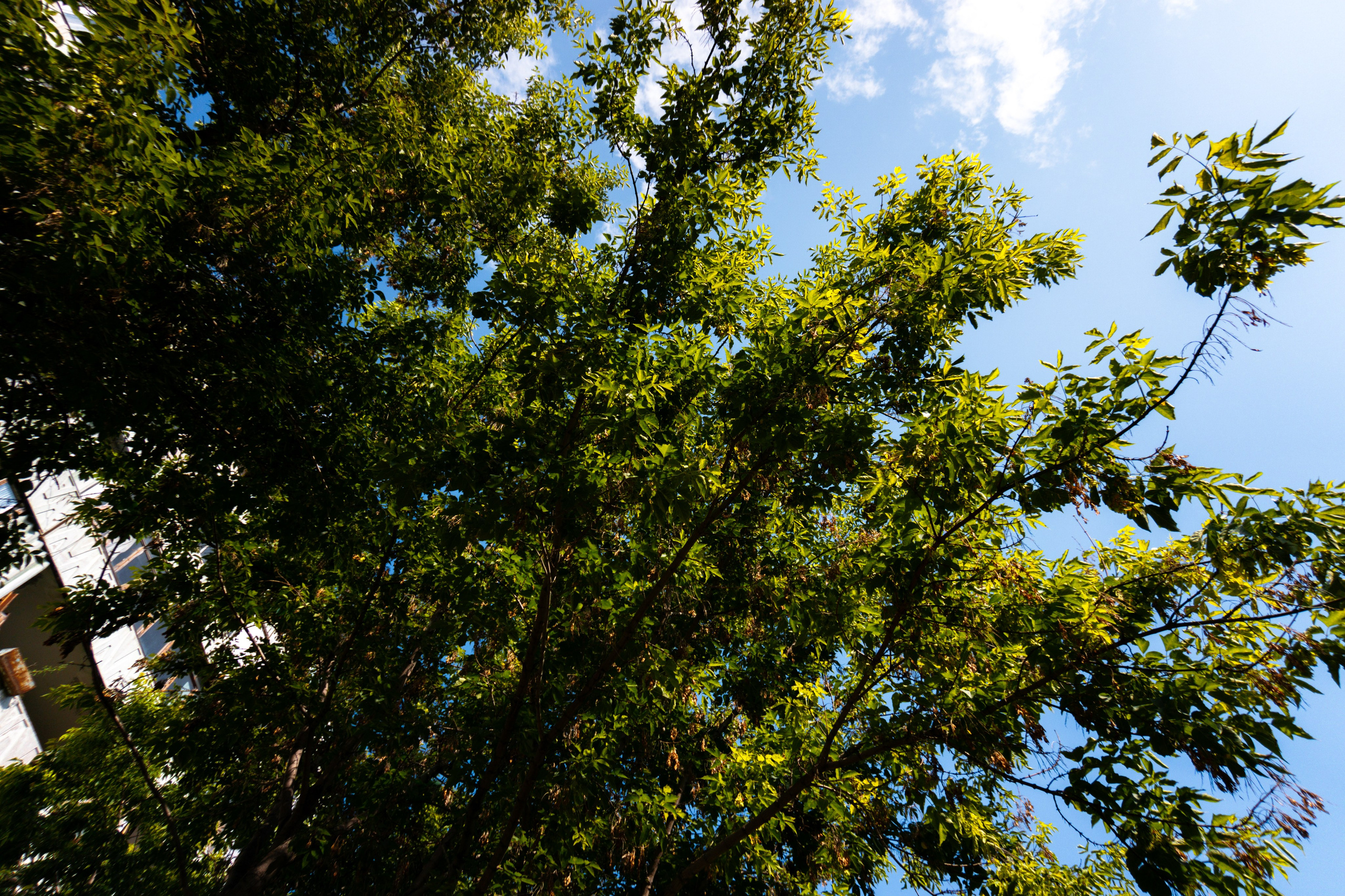 25.06.2025 | Сосновоборск. Kuznetsov | Фотограф в Красноярске