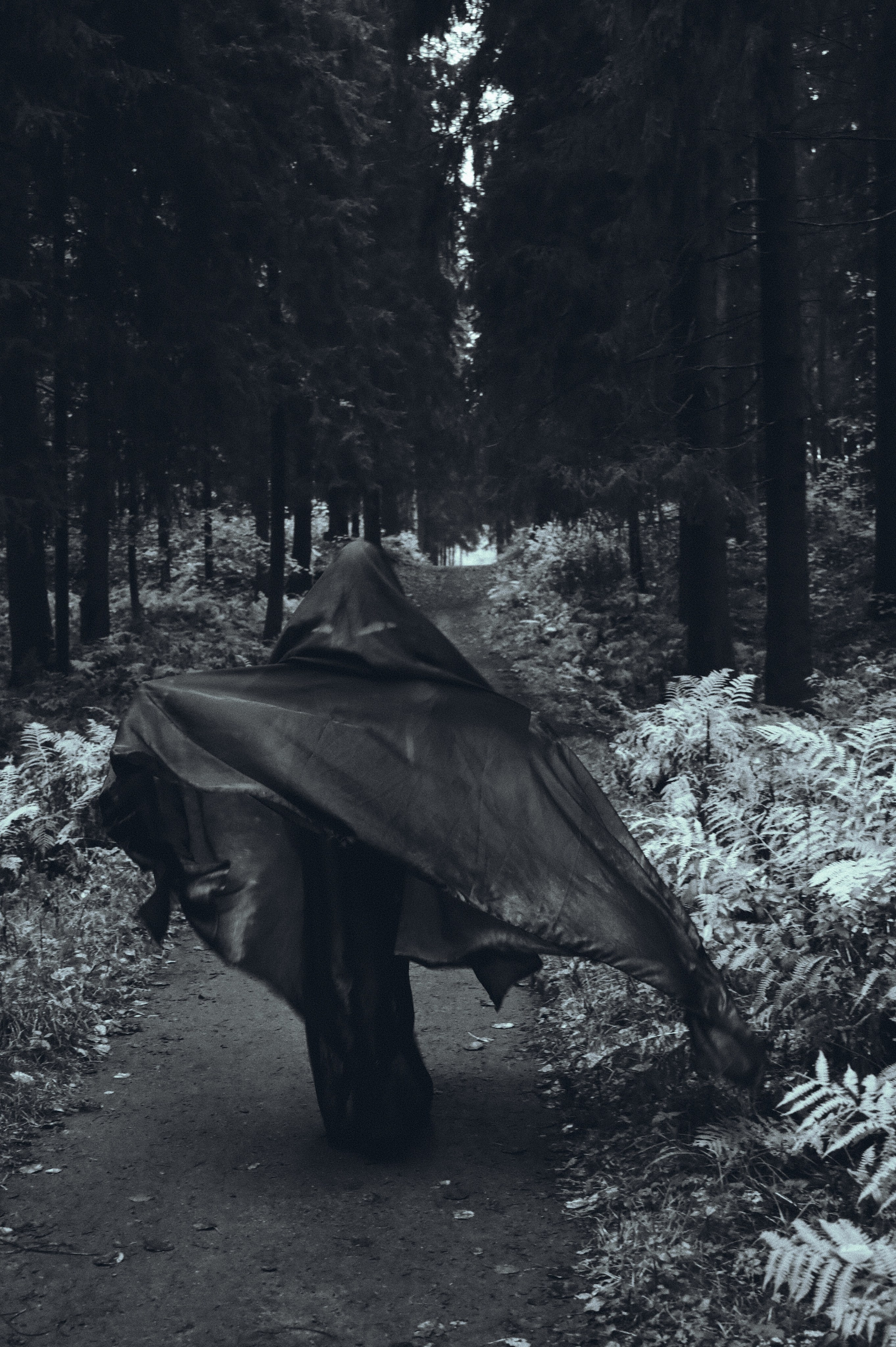 Вдохновление утренним туманом. Ваагн Малхасян | Фотограф | Санкт-Петербург. Создаю атмосферные кадры