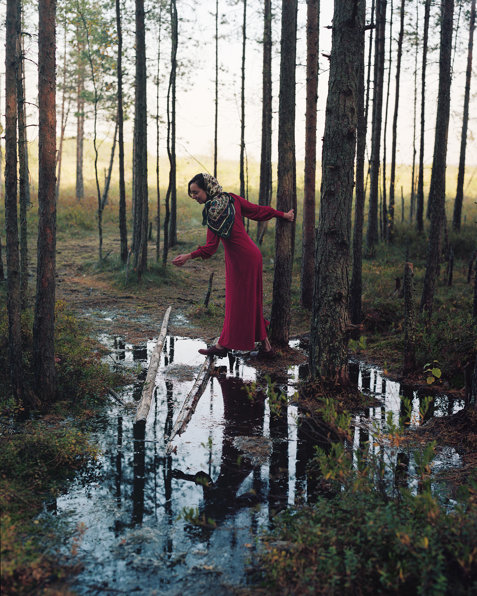 Volchok. Yana Bulgakova Photographhy