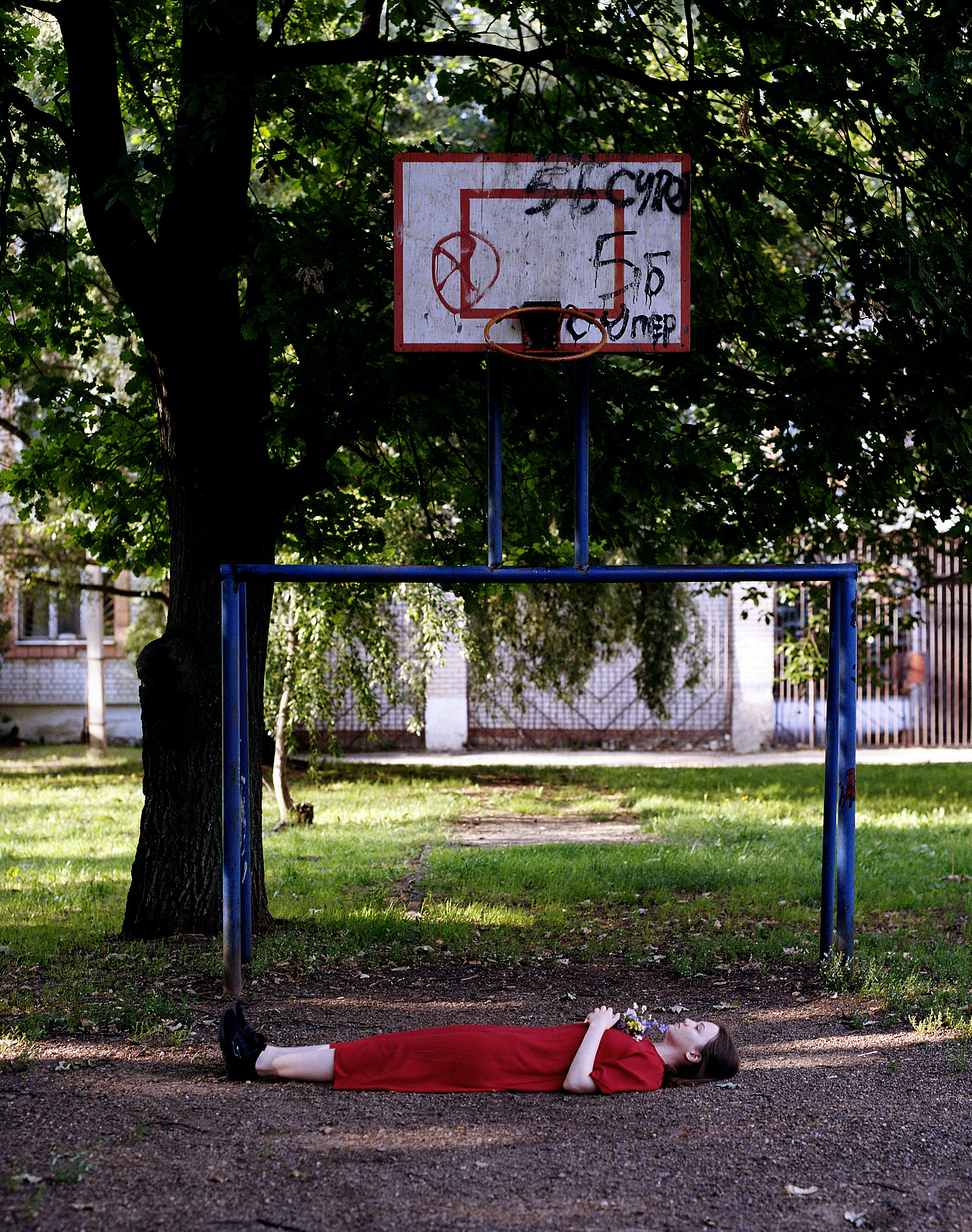 Volchok. Yana Bulgakova Photographhy