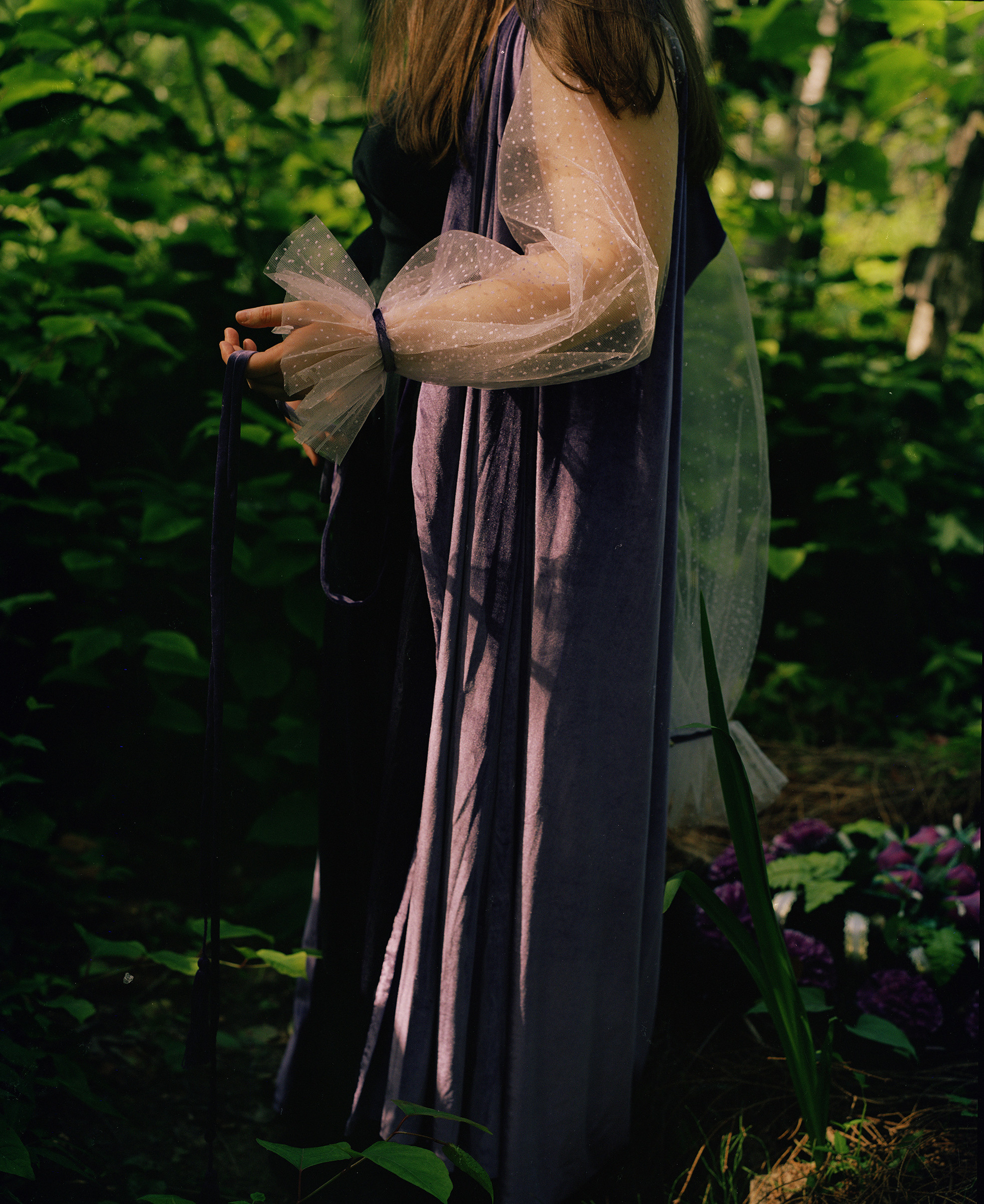 Volchok. Yana Bulgakova Photographhy