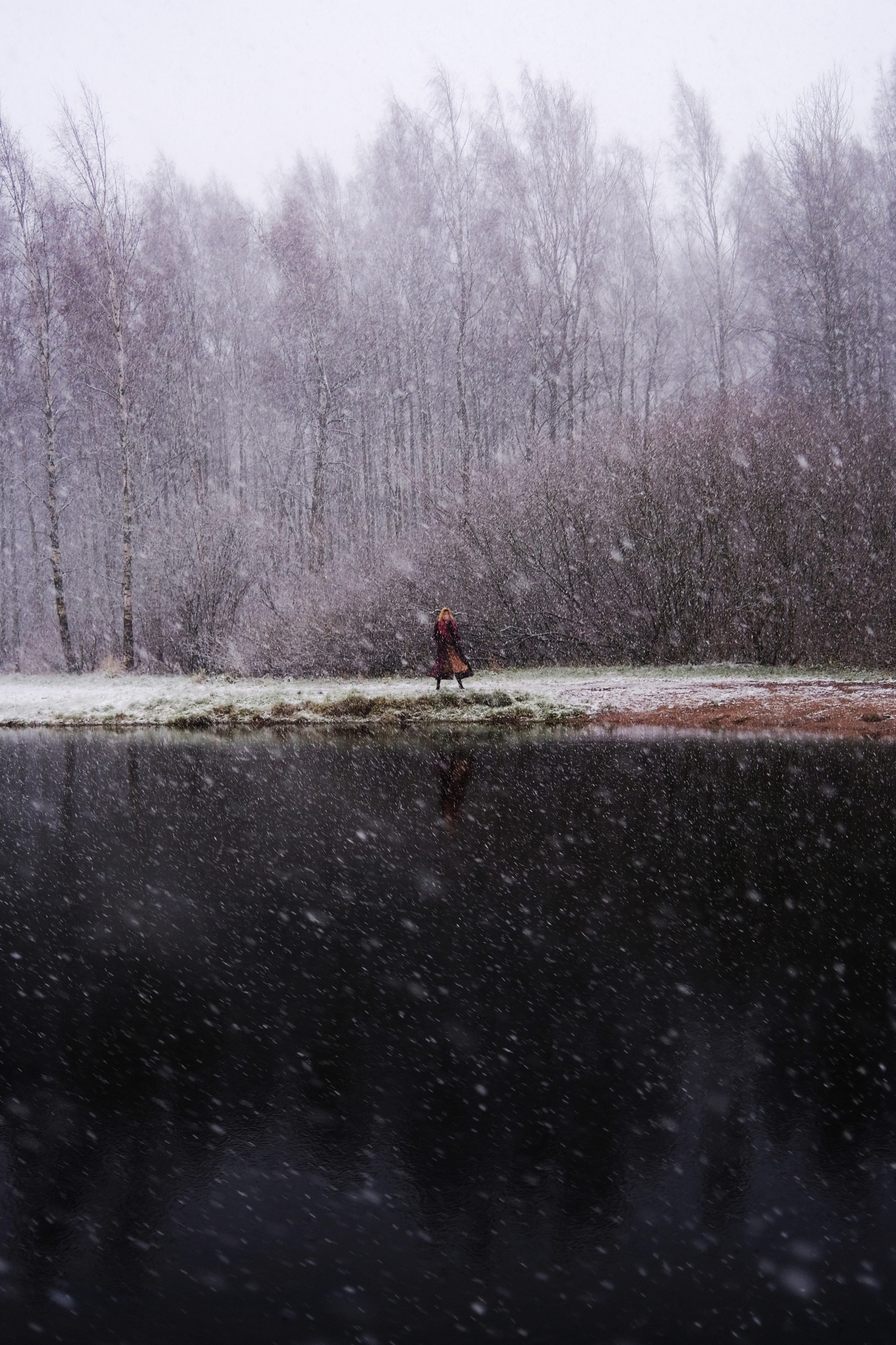 Volchok. Yana Bulgakova Photographhy