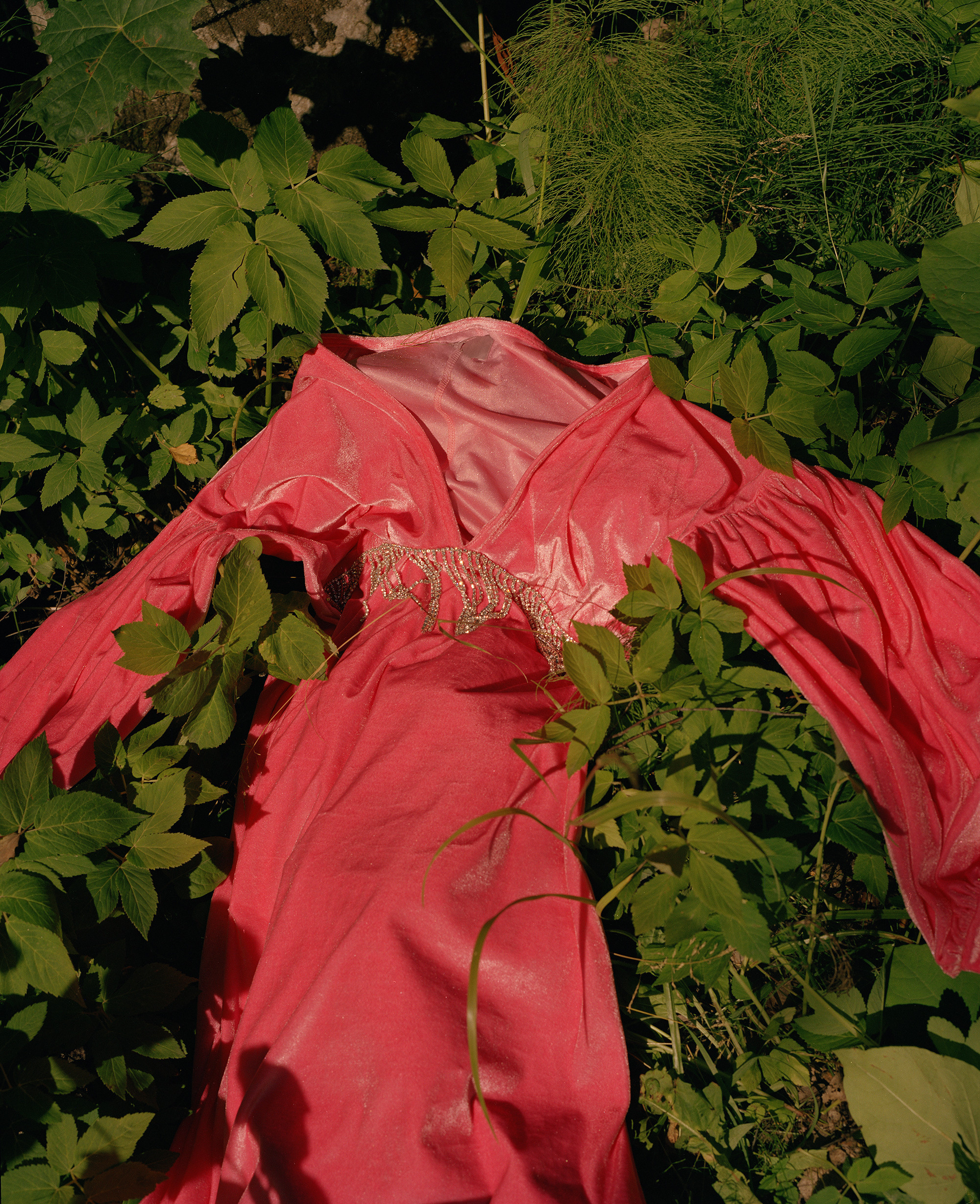 Volchok. Yana Bulgakova Photographhy