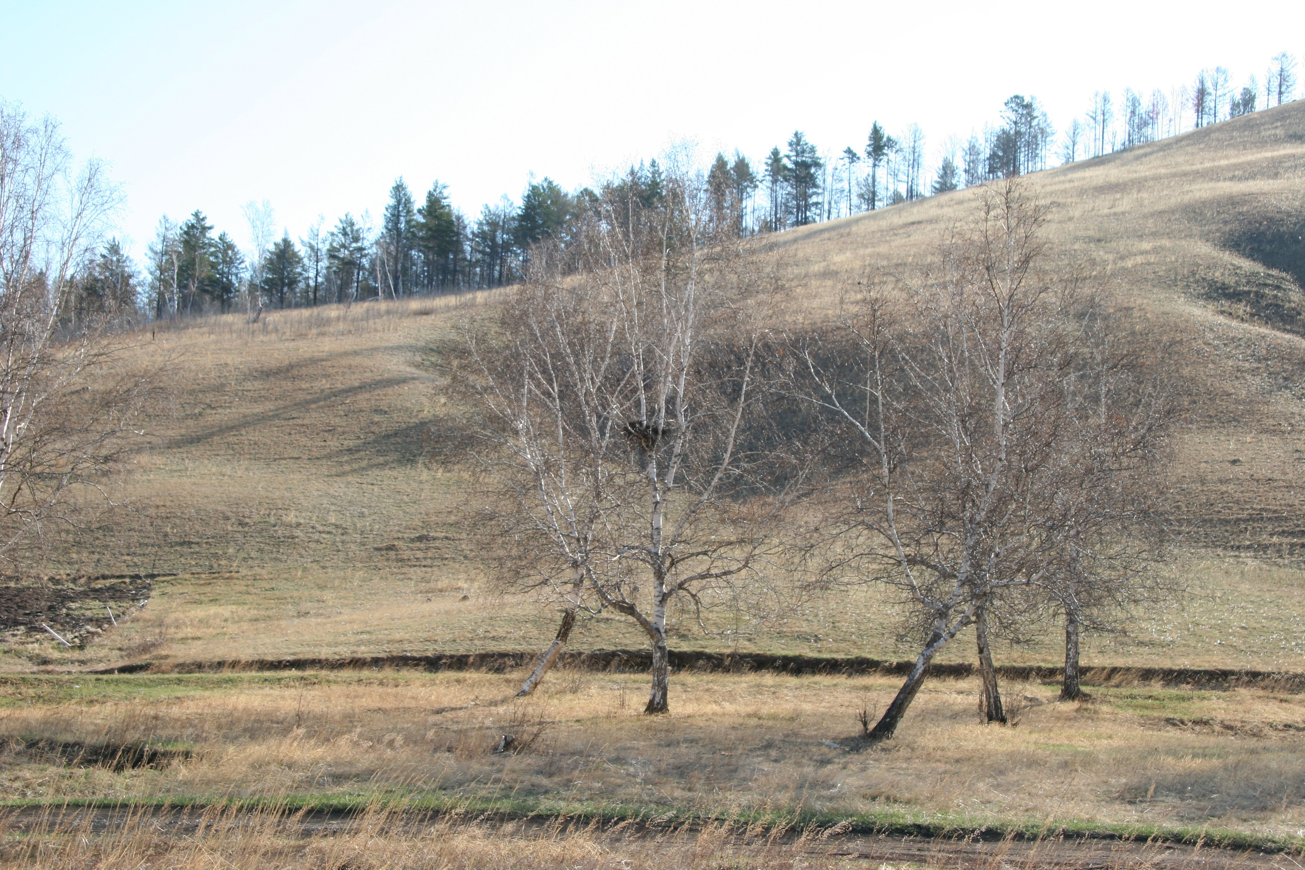 Фото Природы Забайкалья. Студия Максима Белослюдцева