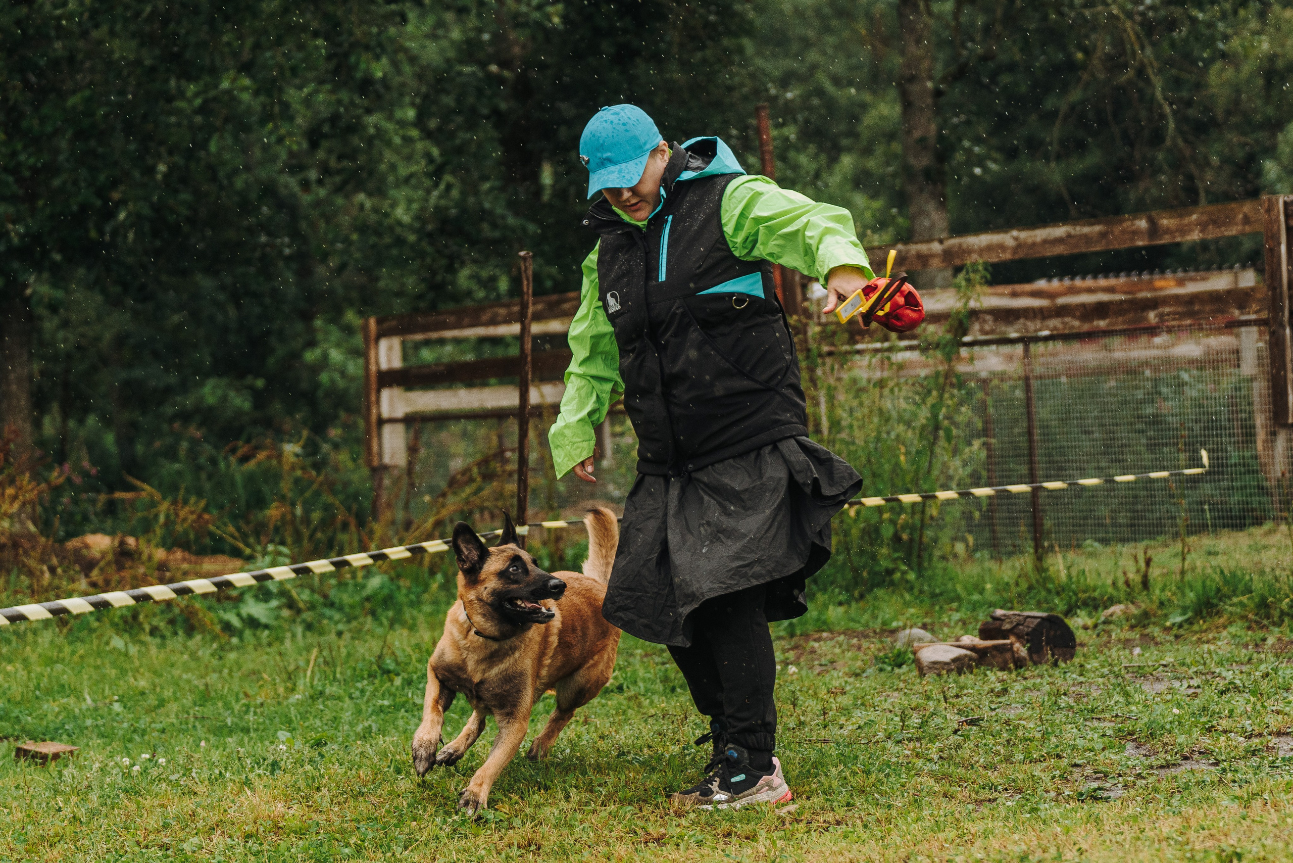 Соревнования по ноузворку в Новожилово. Фотограф анималист в Спб недорого Олеся Майорова