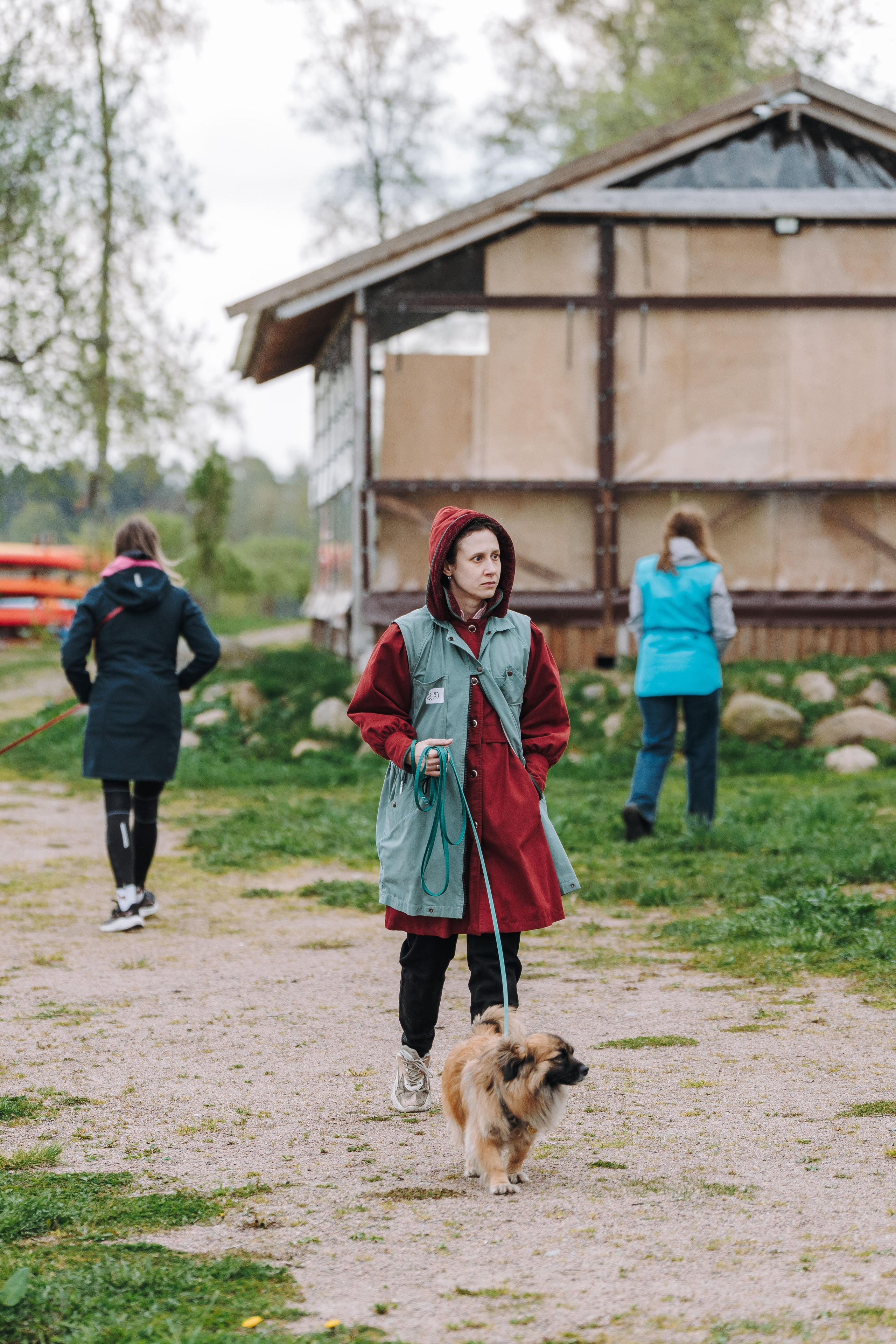 Соревнования по ноузворку в Лосево. Фотограф анималист в Спб недорого Олеся Майорова