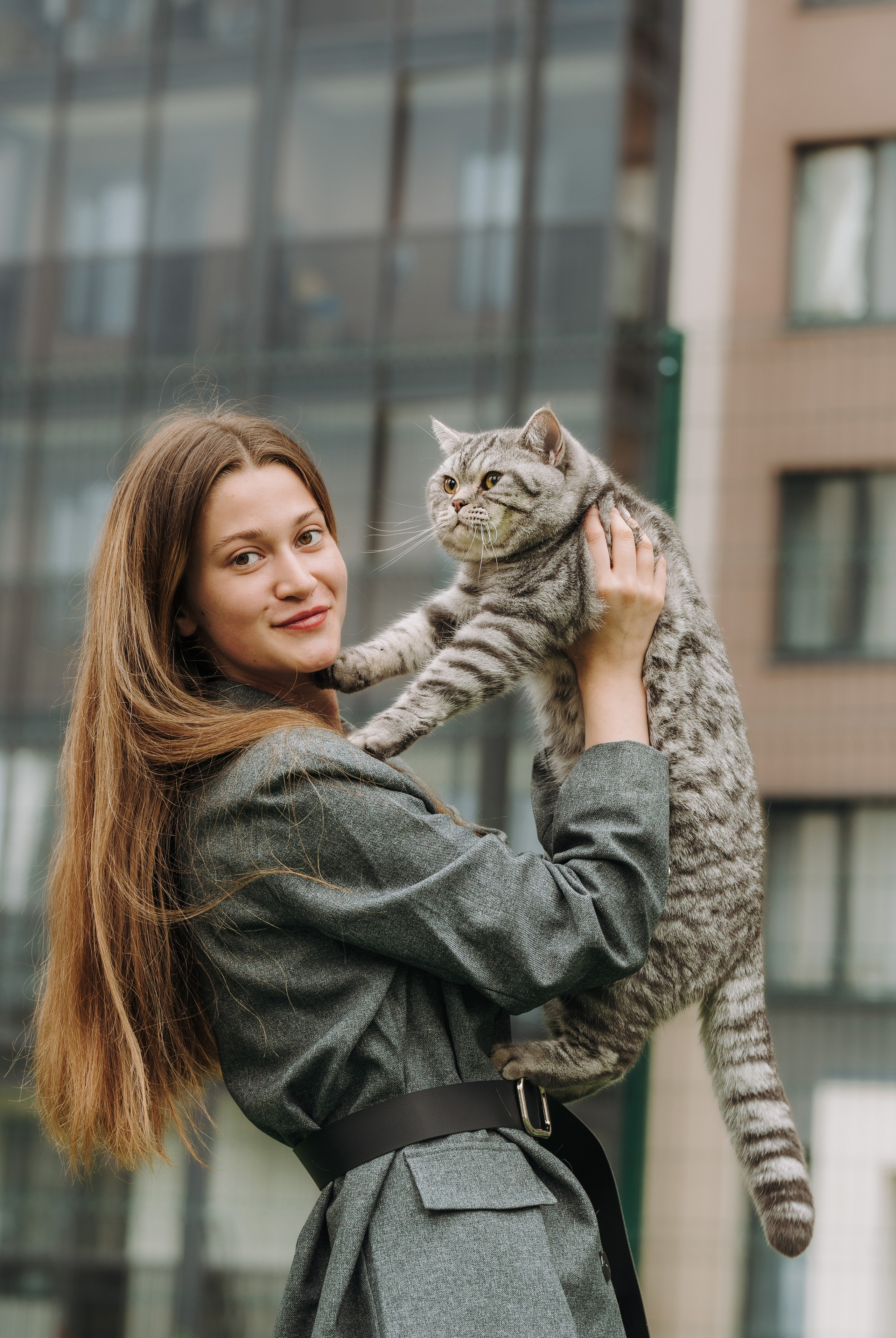 Портфолио кошки, фотограф Олеся Майрова. Фотограф анималист в Спб недорого Олеся Майорова