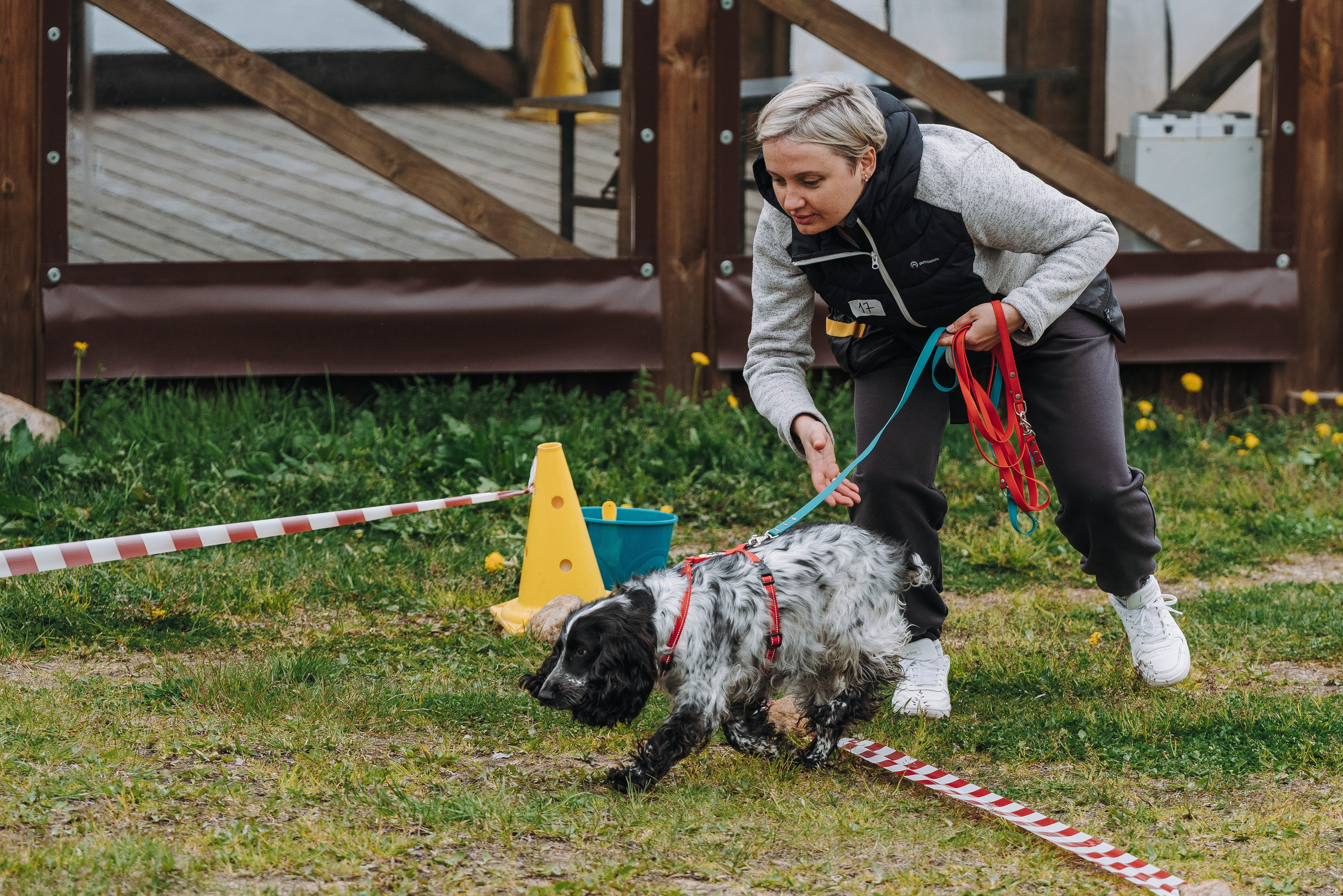 Соревнования по ноузворку в Лосево. Фотограф анималист в Спб недорого Олеся Майорова