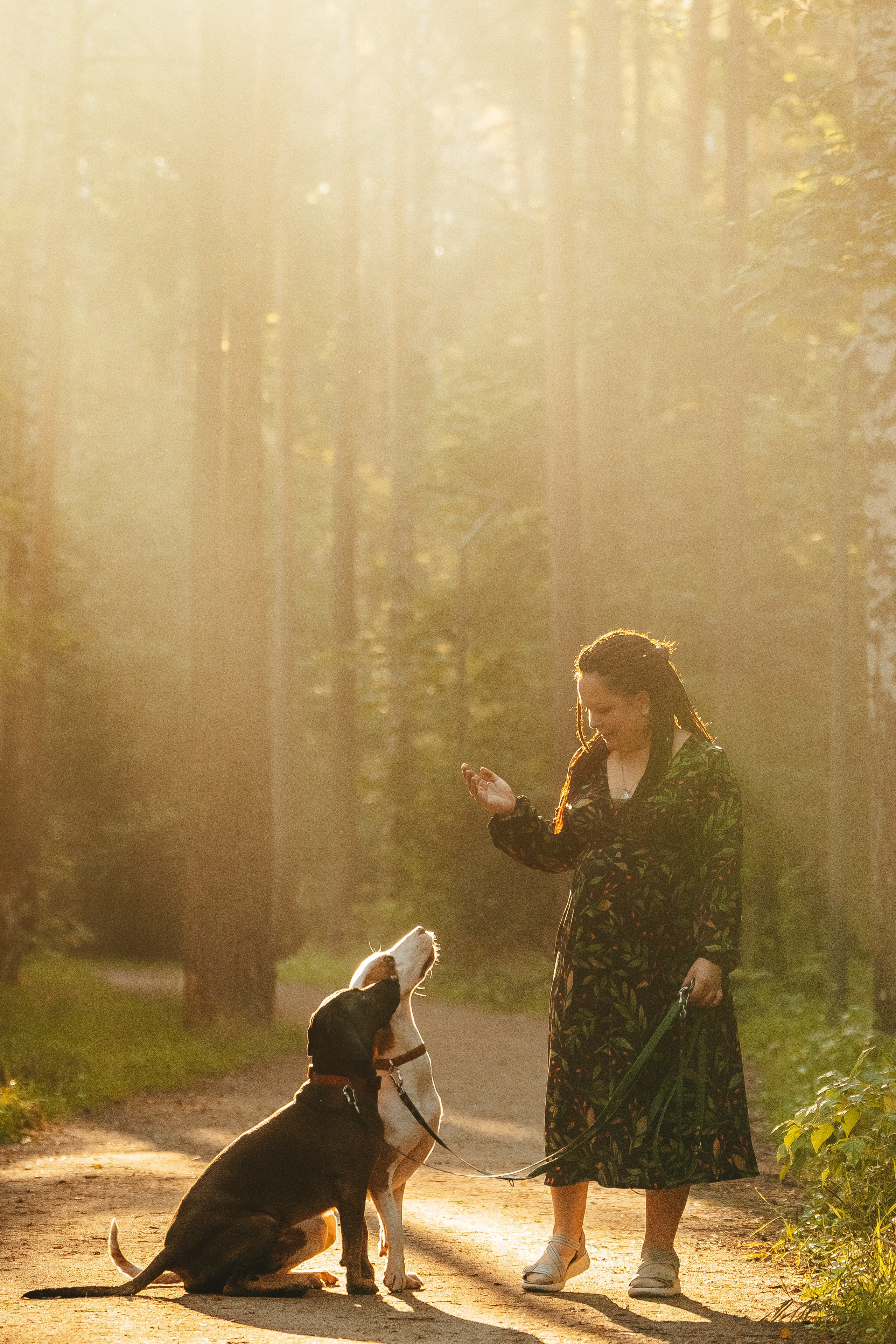 Ольга, Рора и Румпель. Фотограф анималист в Спб недорого Олеся Майорова