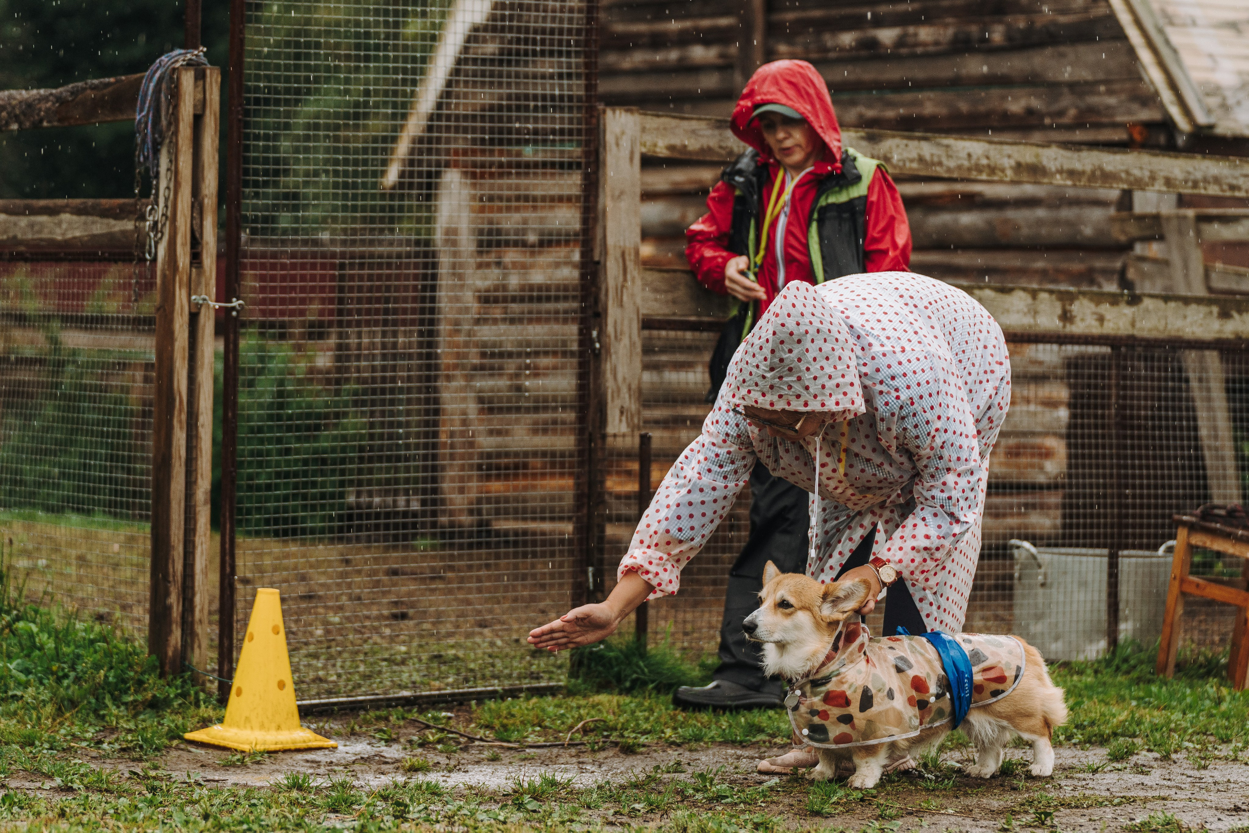 Соревнования по ноузворку в Новожилово. Фотограф анималист в Спб недорого Олеся Майорова