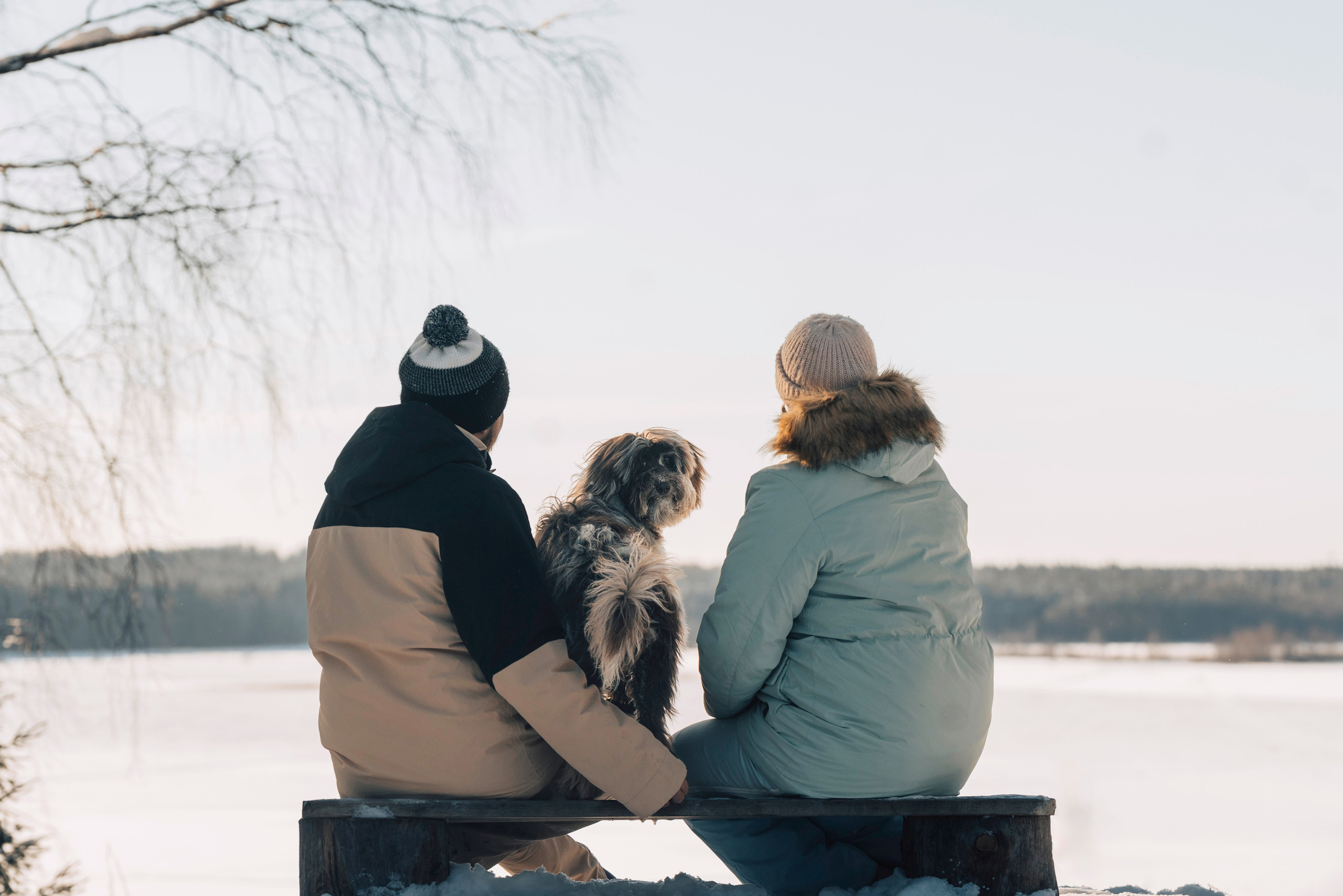 Хэйзел и её семья. Фотограф анималист в Спб недорого Олеся Майорова