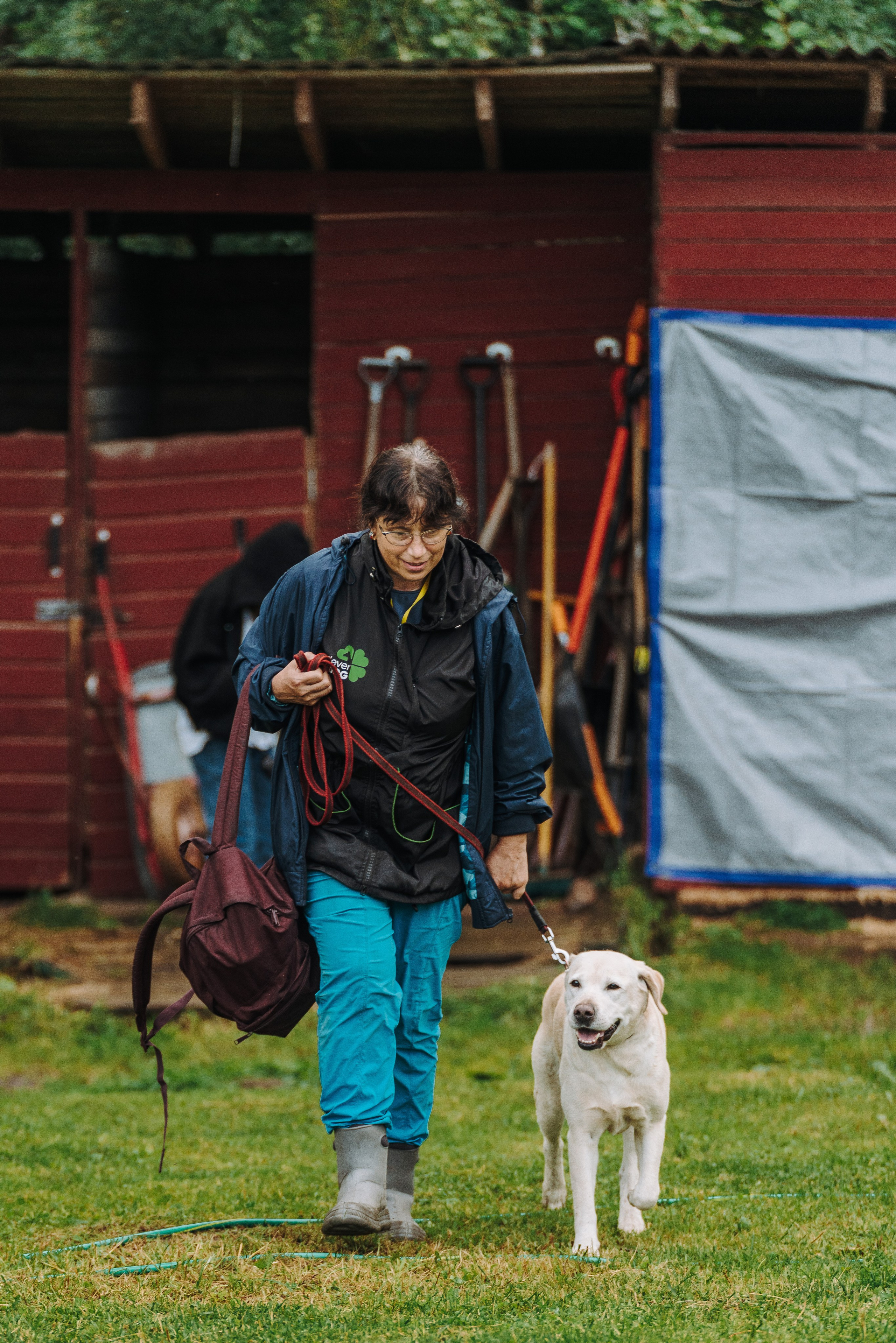 Соревнования по ноузворку в Новожилово. Фотограф анималист в Спб недорого Олеся Майорова