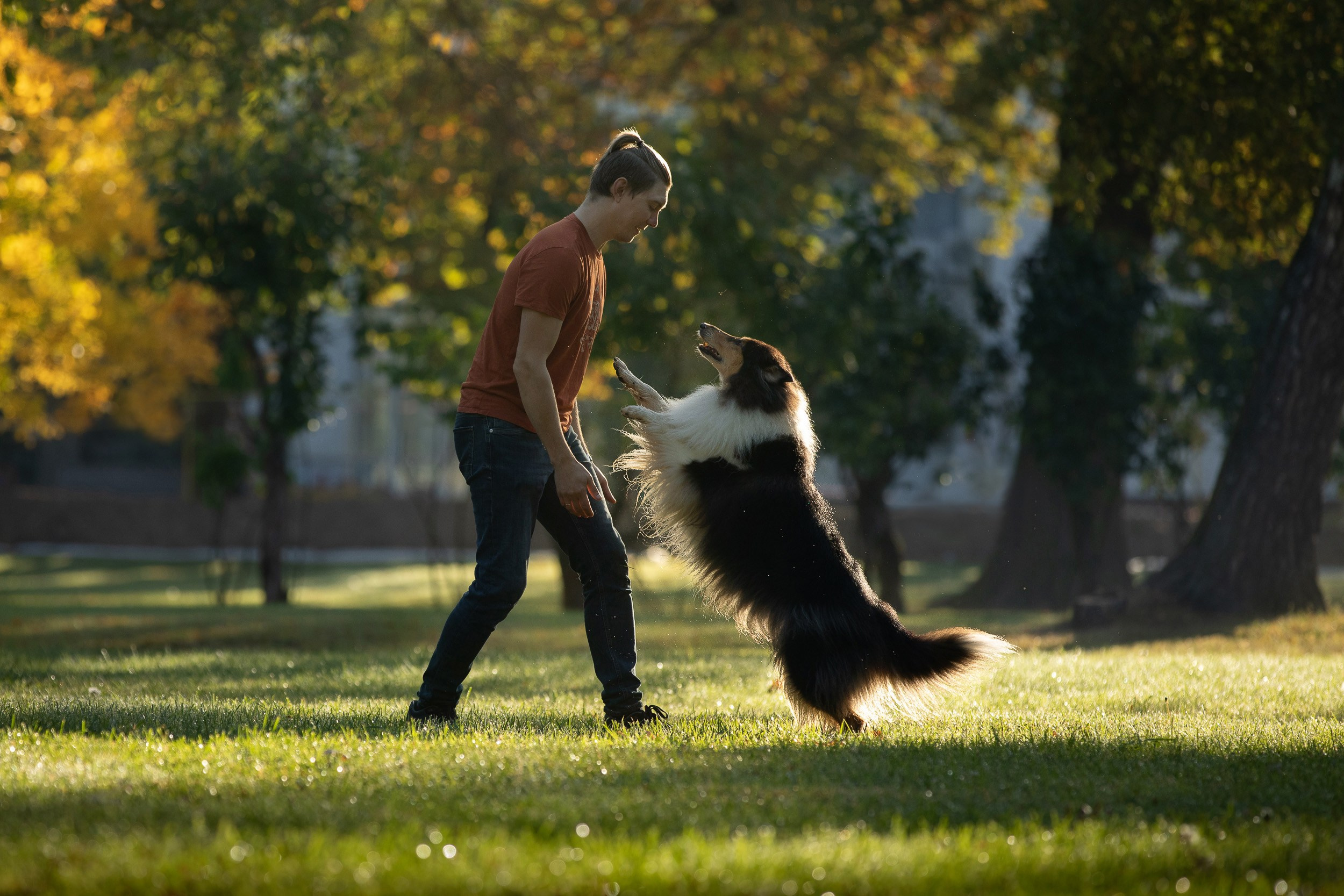 Съемка с питомцем на рассвете в Москве. Фотограф-анималист в Москве и Московской области Татьяна Фролова