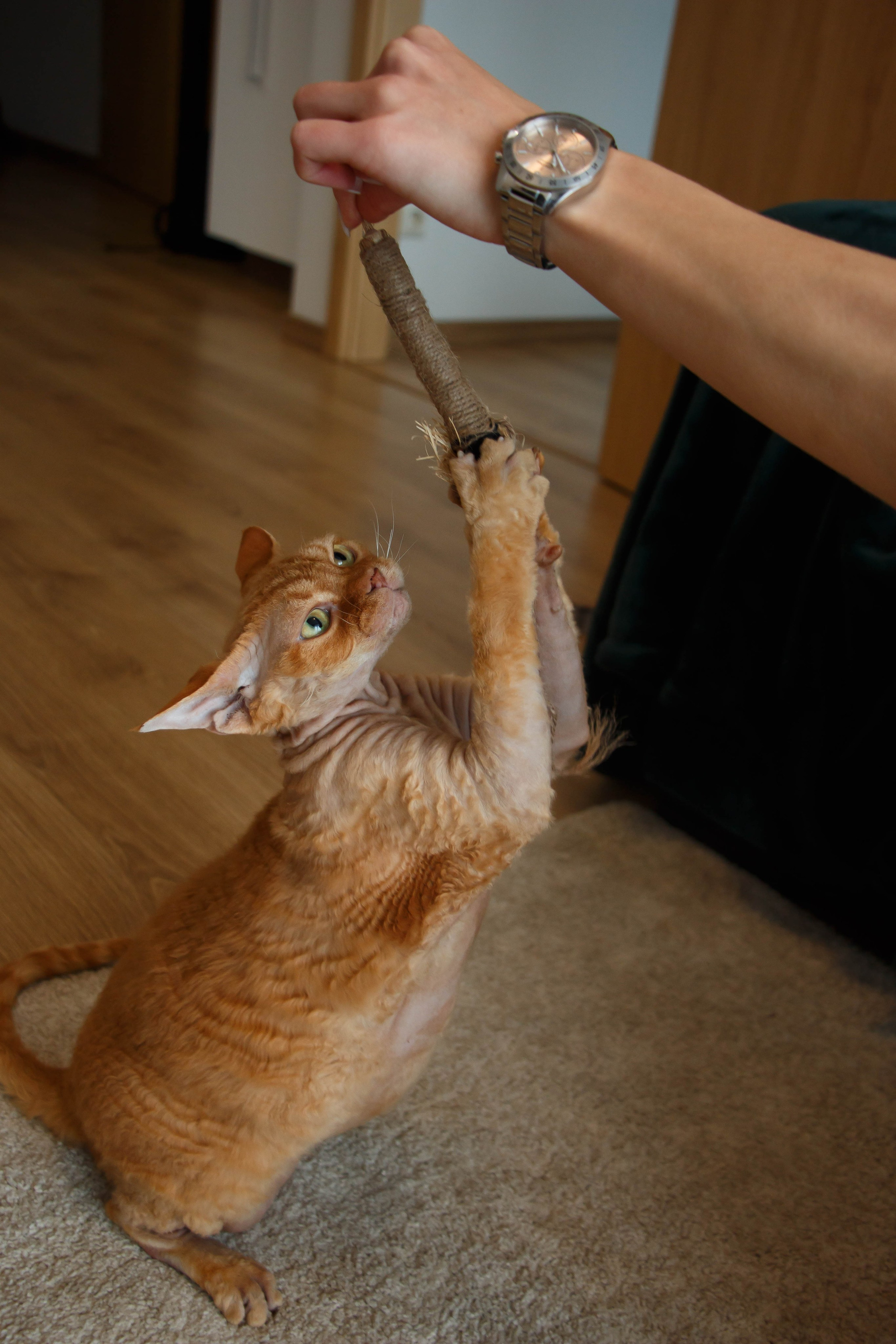 TANYA&NALLA. Бережно сохраняю ваши чувства и истории на своих фотографиях