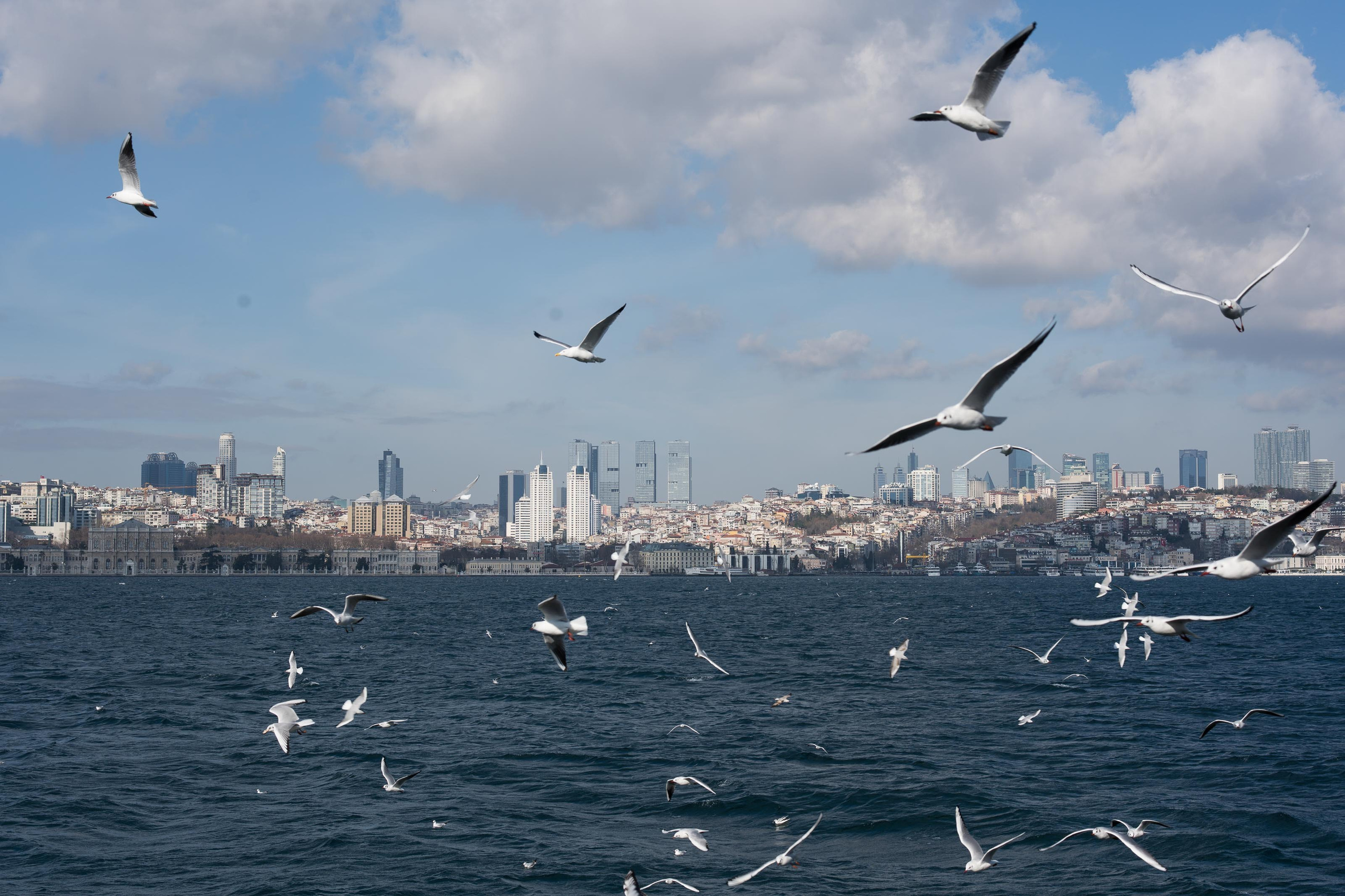 Стамбул '20. Юлия Розанова, коммерческий фоторепортаж в Москве