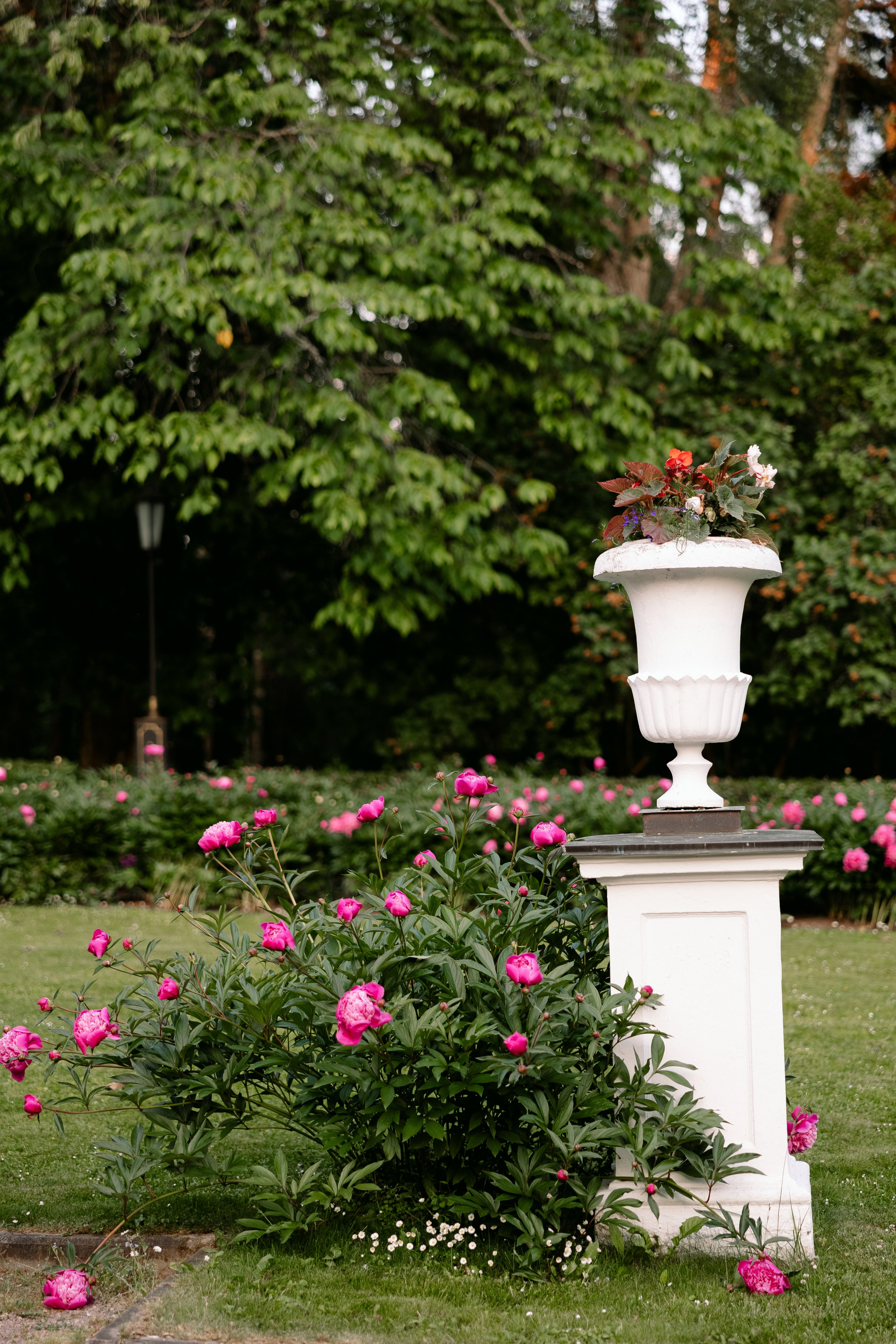 Анастасия и Богдан. Свадебный фотограф Москва