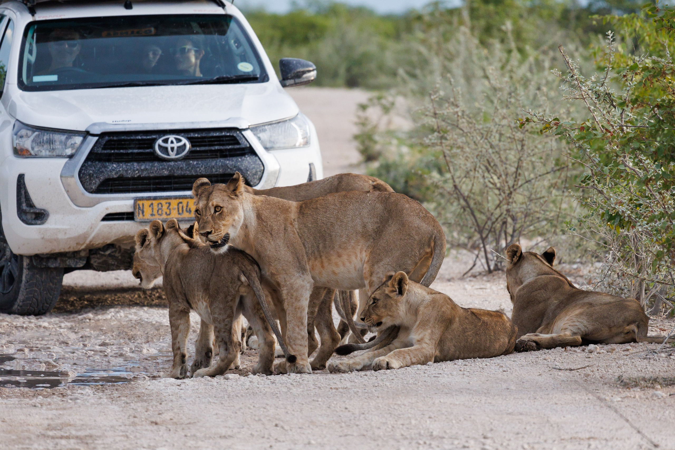 НАМИБИЯ. Роадтрип