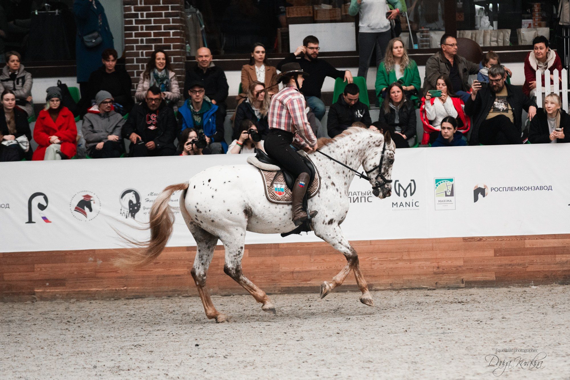 8-я международная выставка Конная Россия. Конный фотограф Куракина Дарья • Фотосессии с лошадьми
