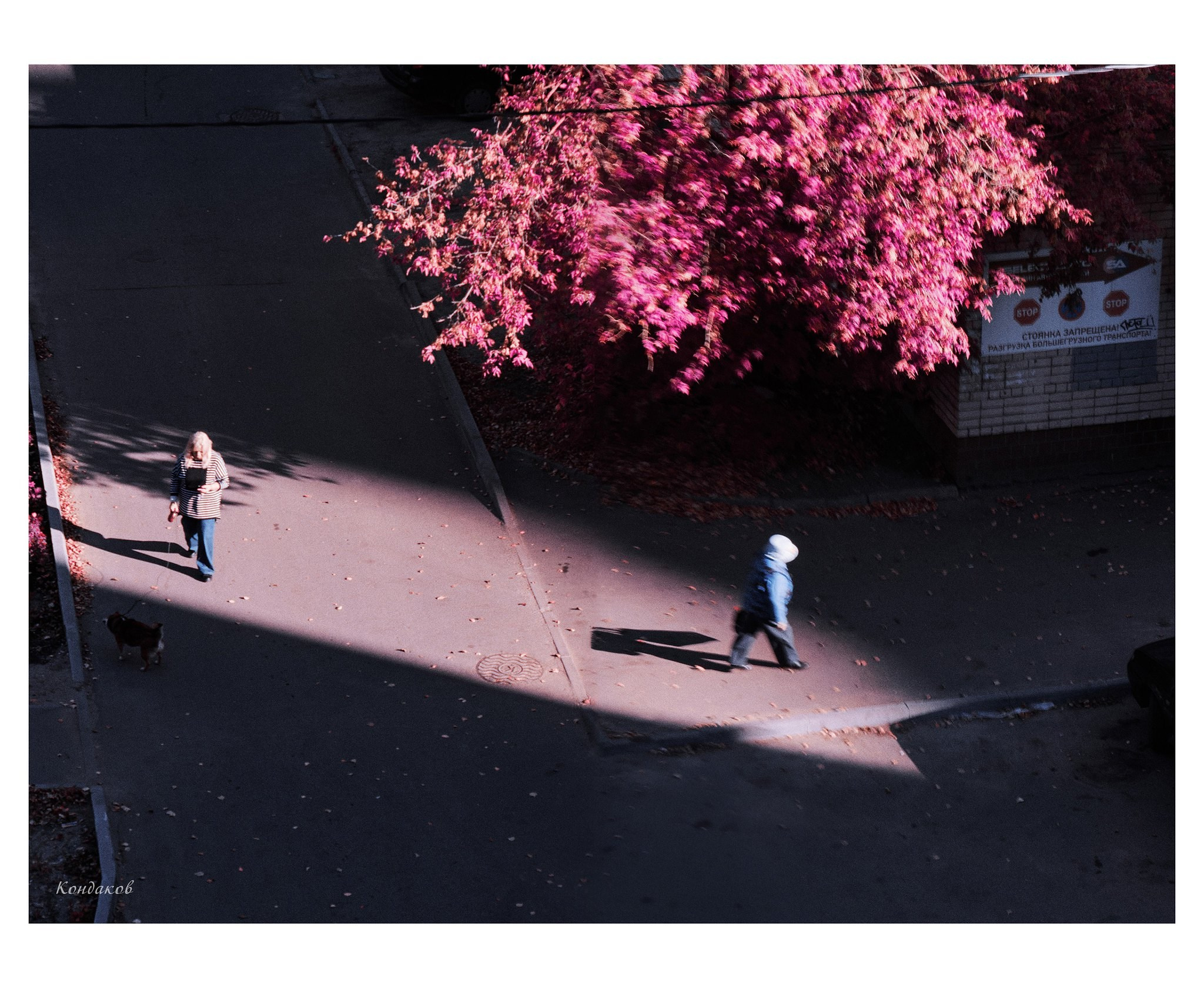 Фотопроект «The Люди» фотограф Александр Кондаков. Фотограф для маркетплейсов в Иваново | Съемки одежды и белья