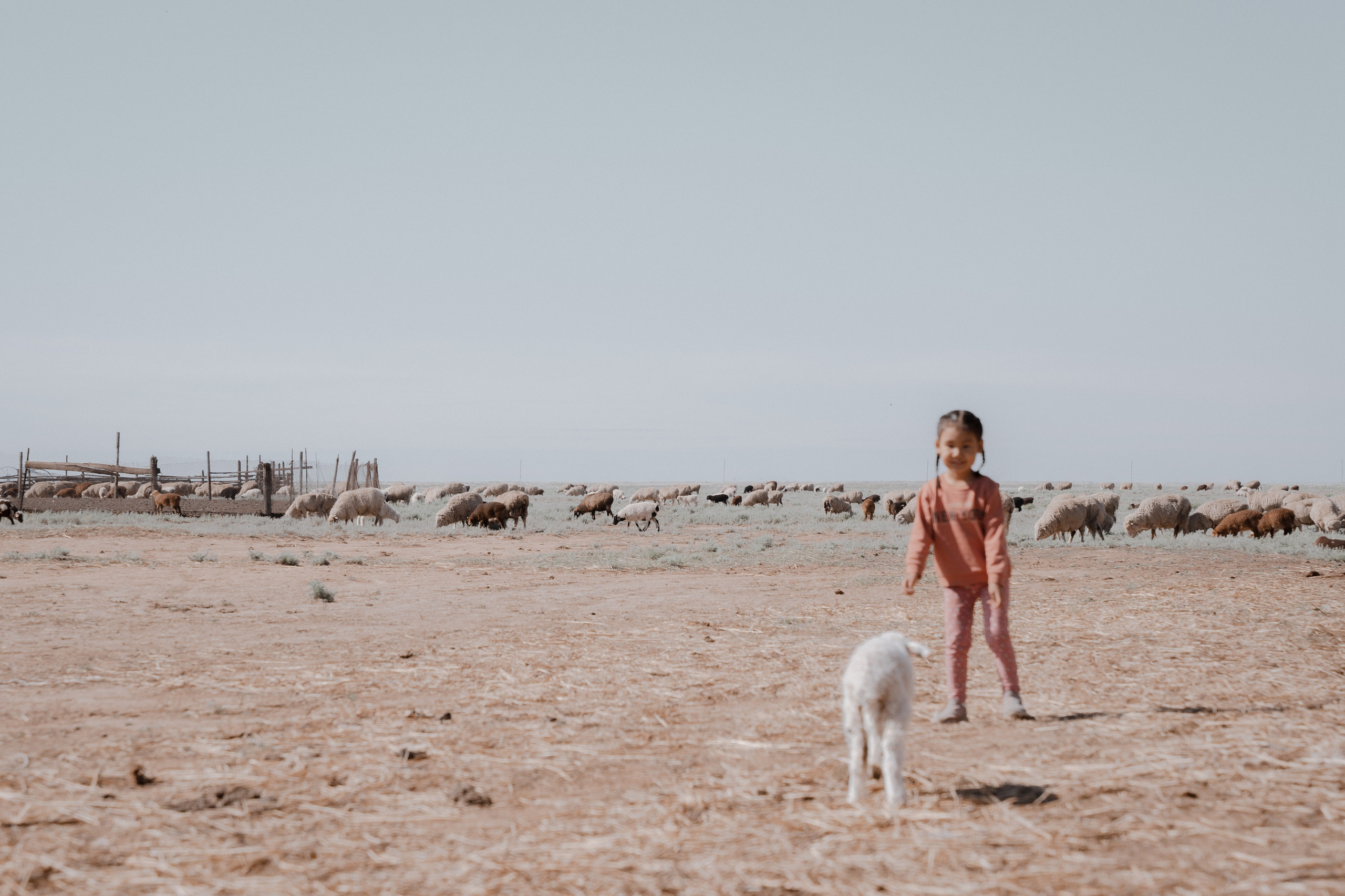 Калмыкия I Май 2024. Commercial photographer Natalia Bychkova