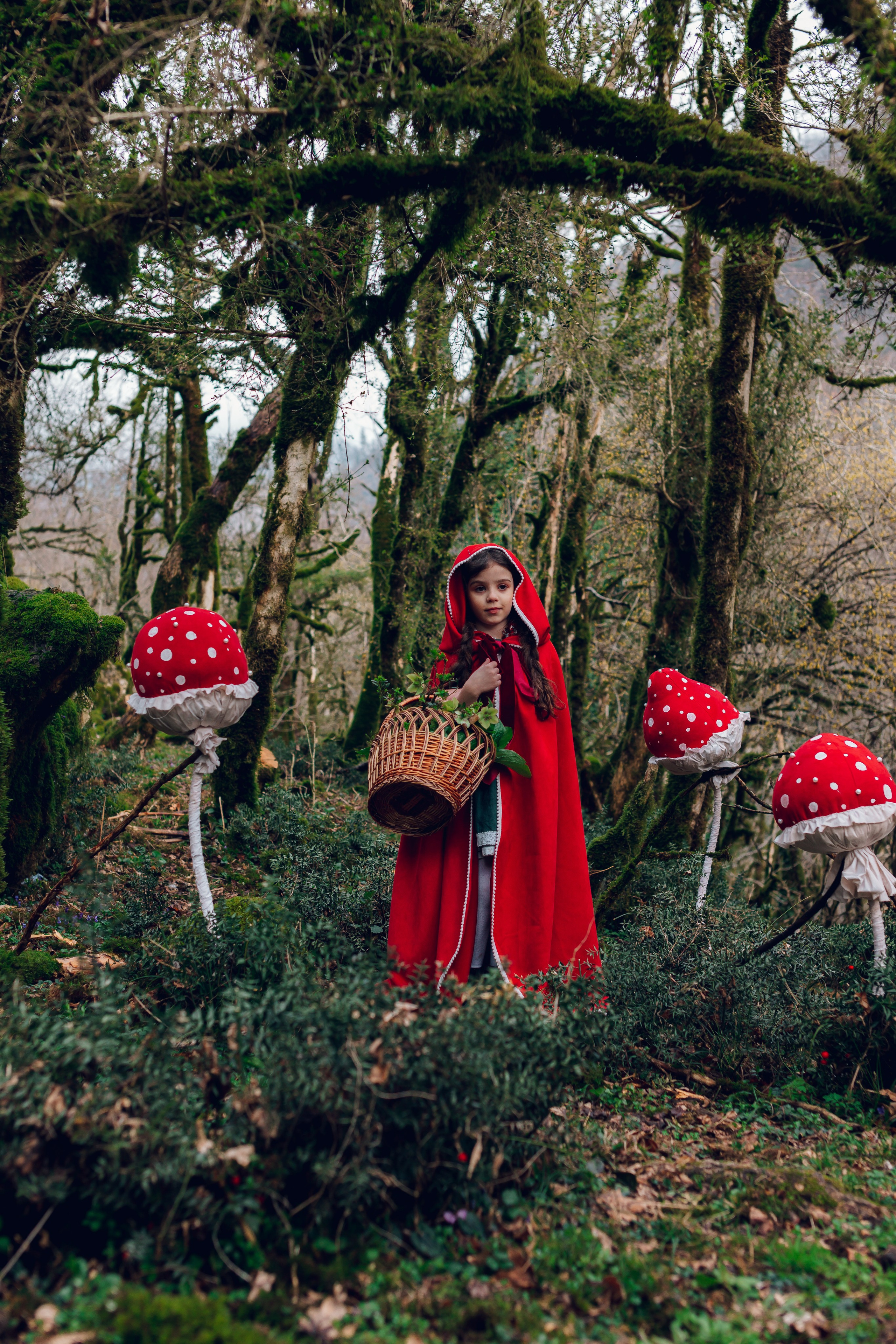 Самшитовая роща. Семейный и художественный фотограф в Тюмени Юлия Логинова