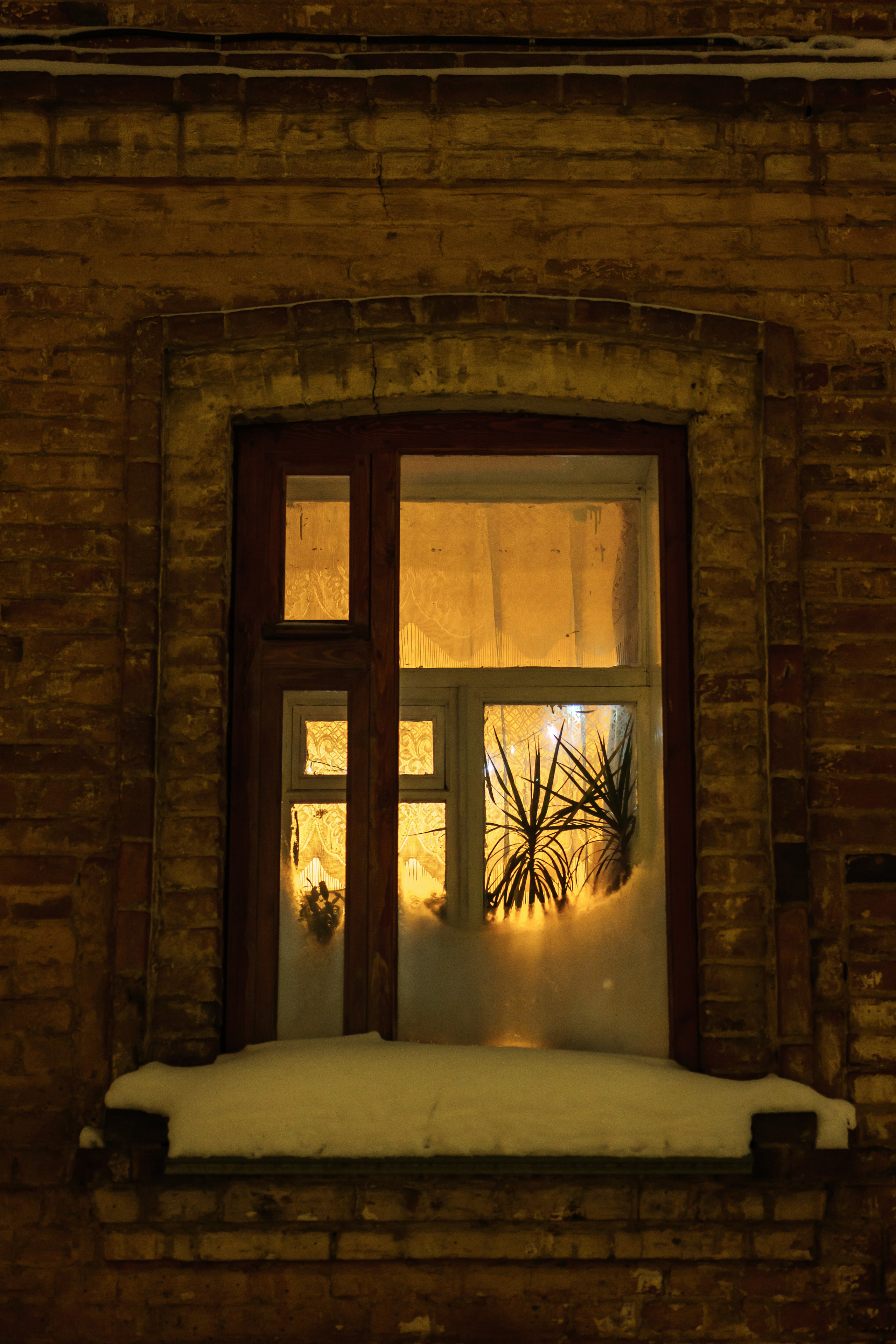 Windows light. Vladimir Tyrtov