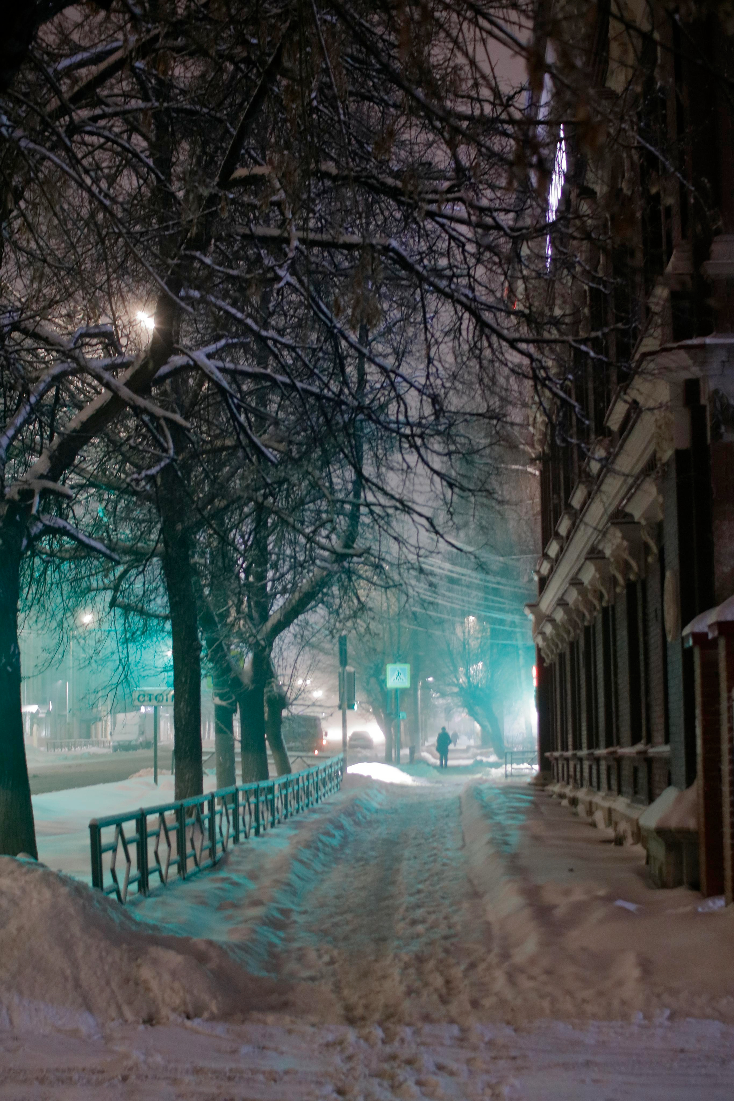 Moments. Vladimir Tyrtov