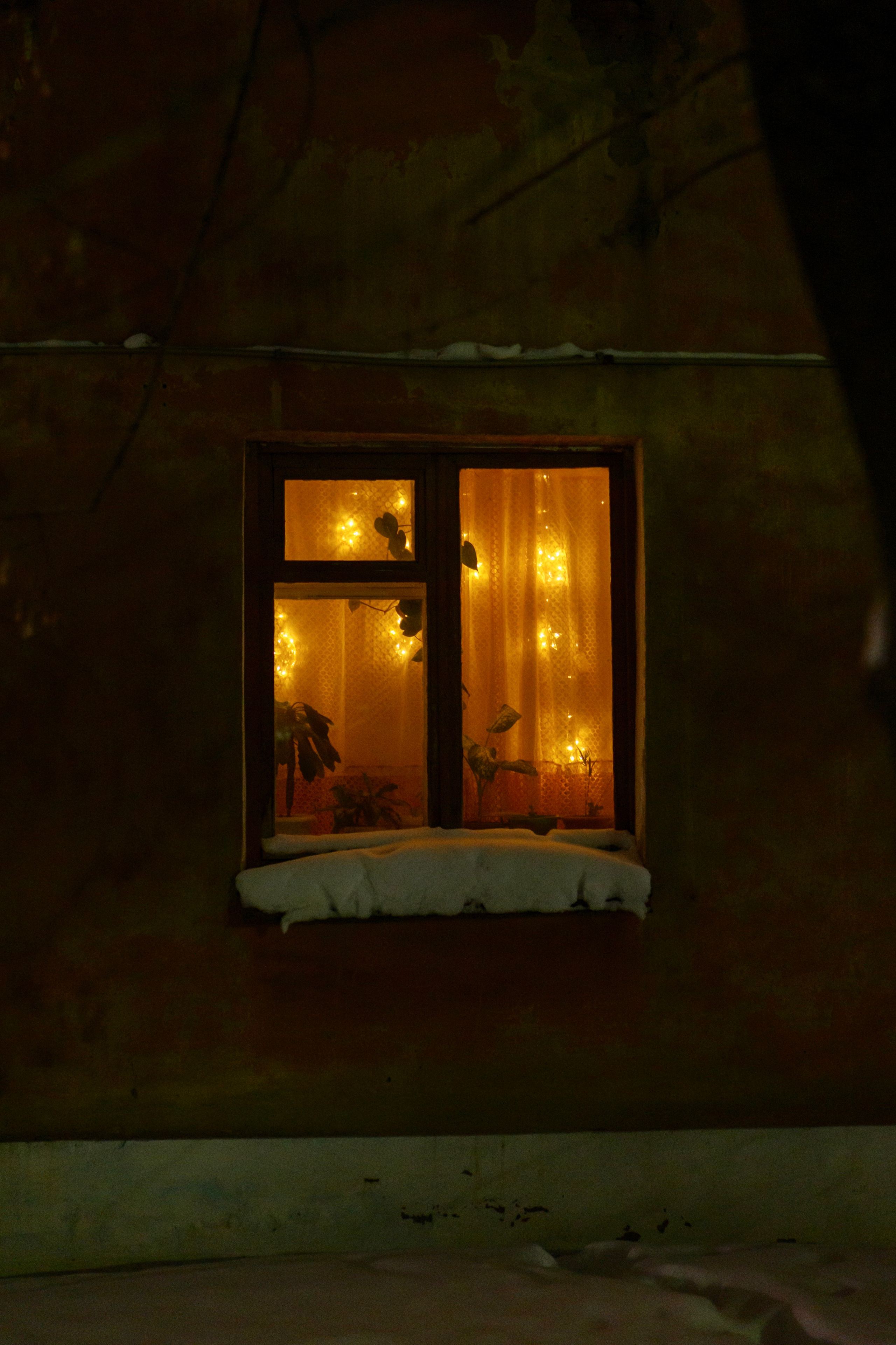 Windows light. Vladimir Tyrtov