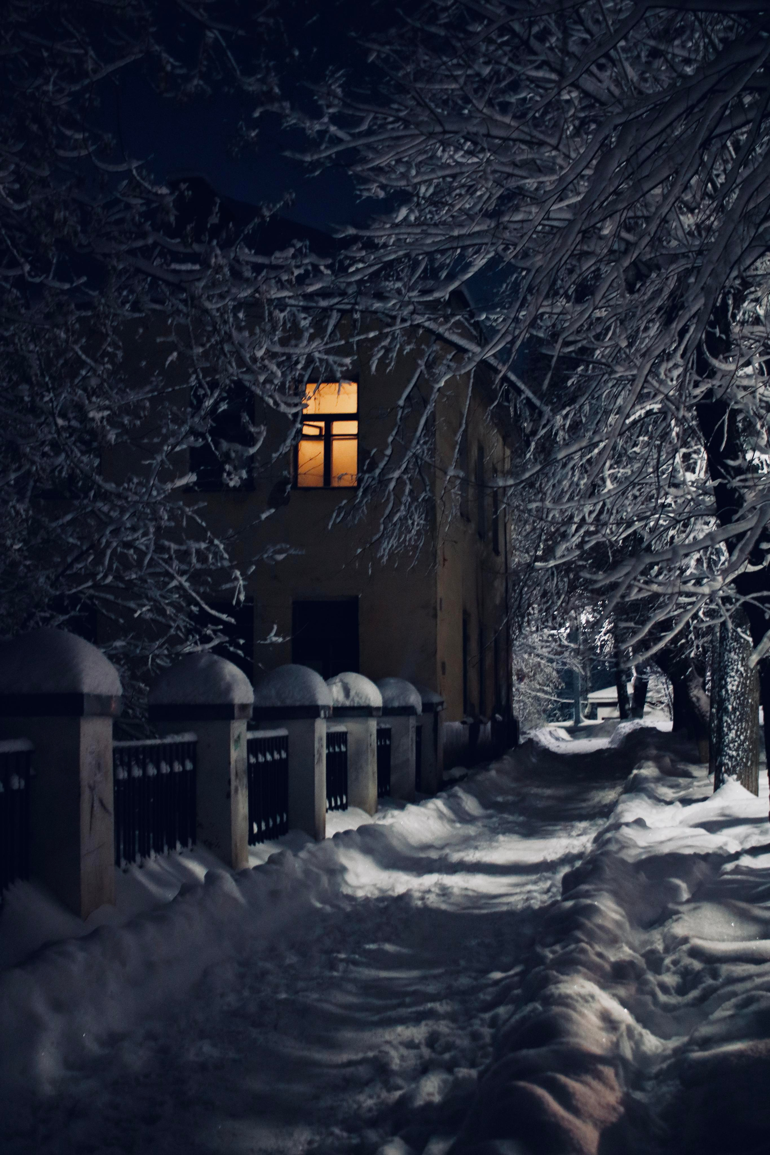 Street scape. Vladimir Tyrtov