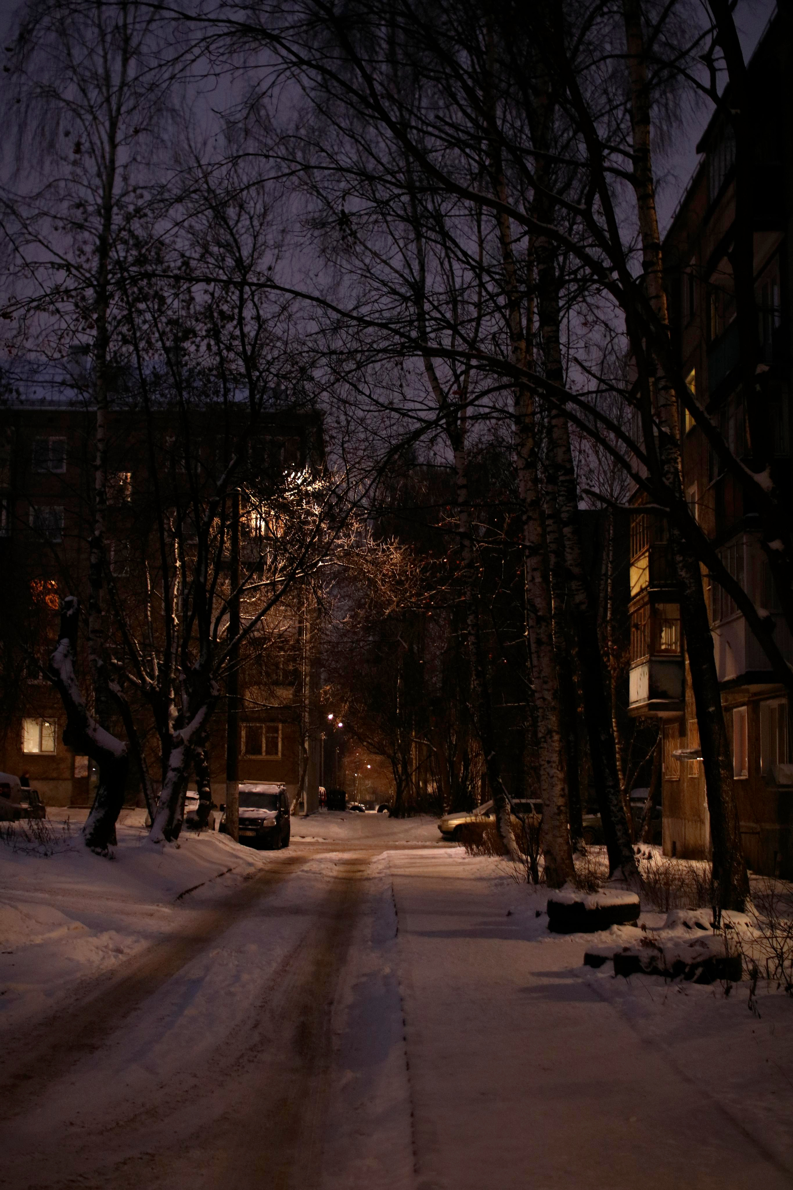 Township scape. Vladimir Tyrtov