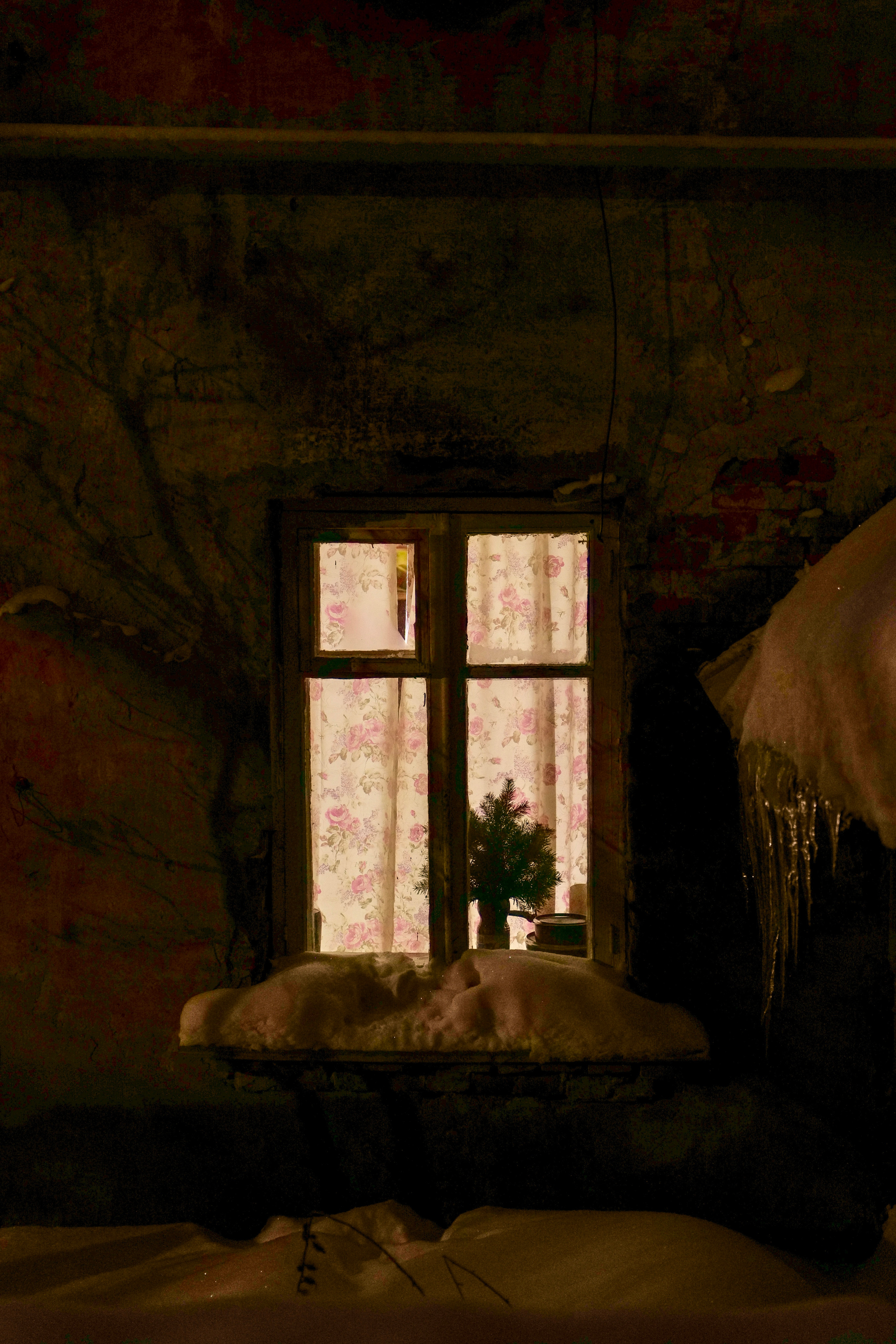 Windows light. Vladimir Tyrtov