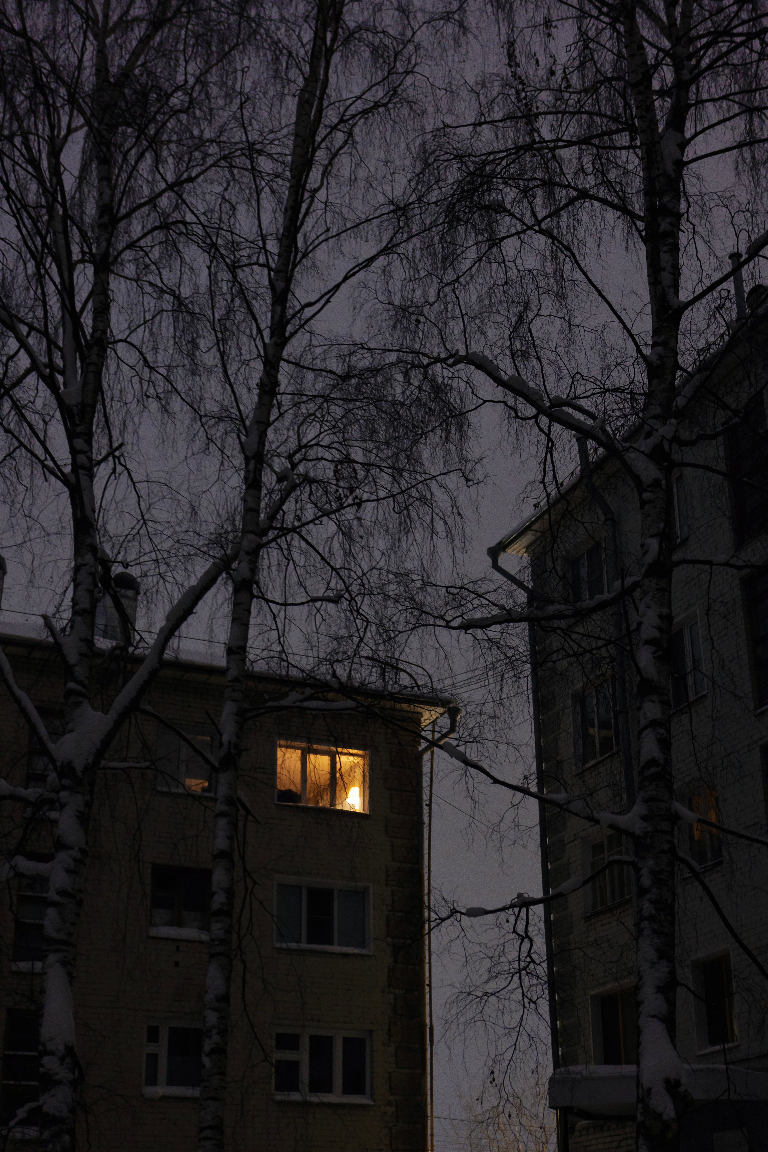 Street scape. Vladimir Tyrtov