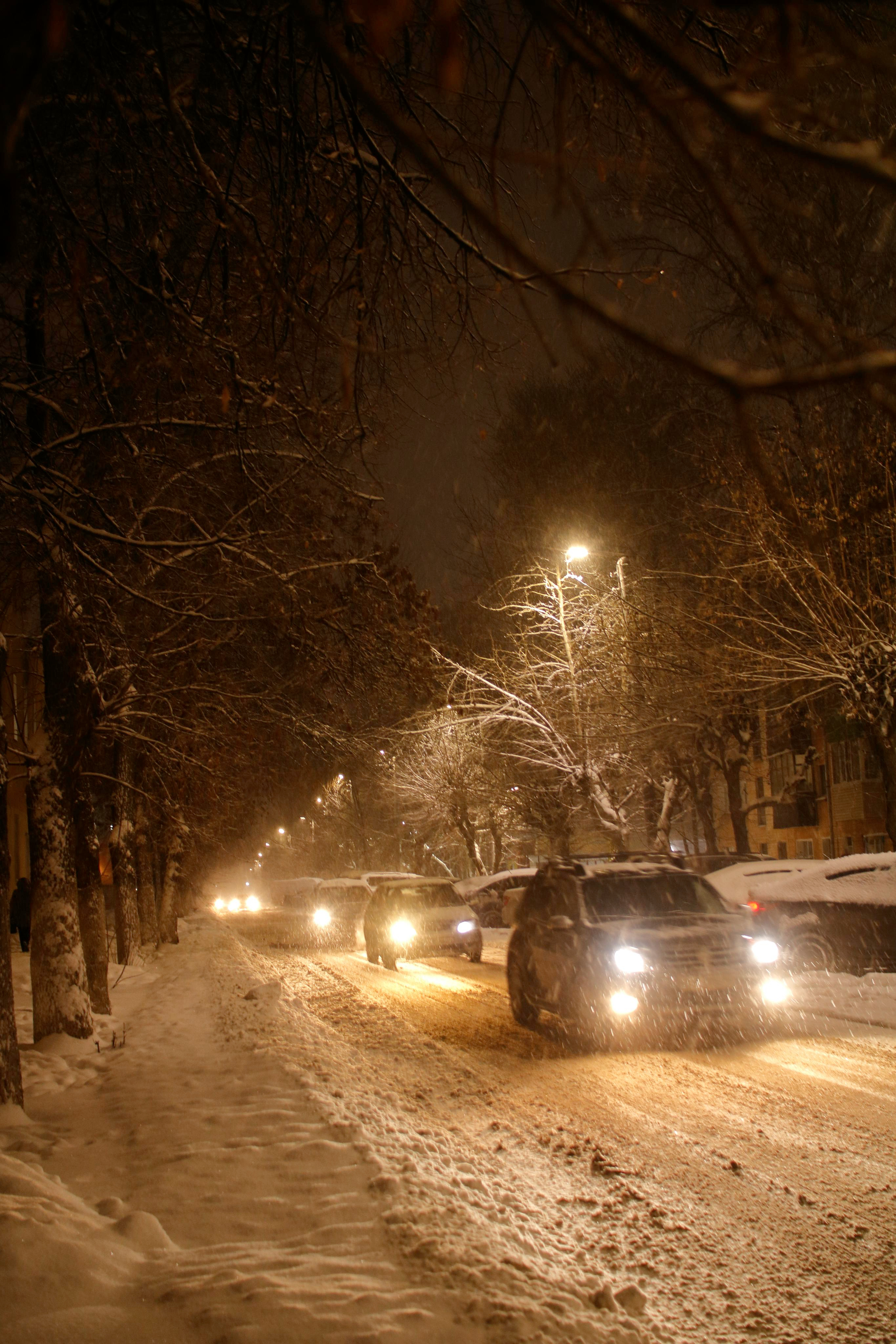 Moments. Vladimir Tyrtov