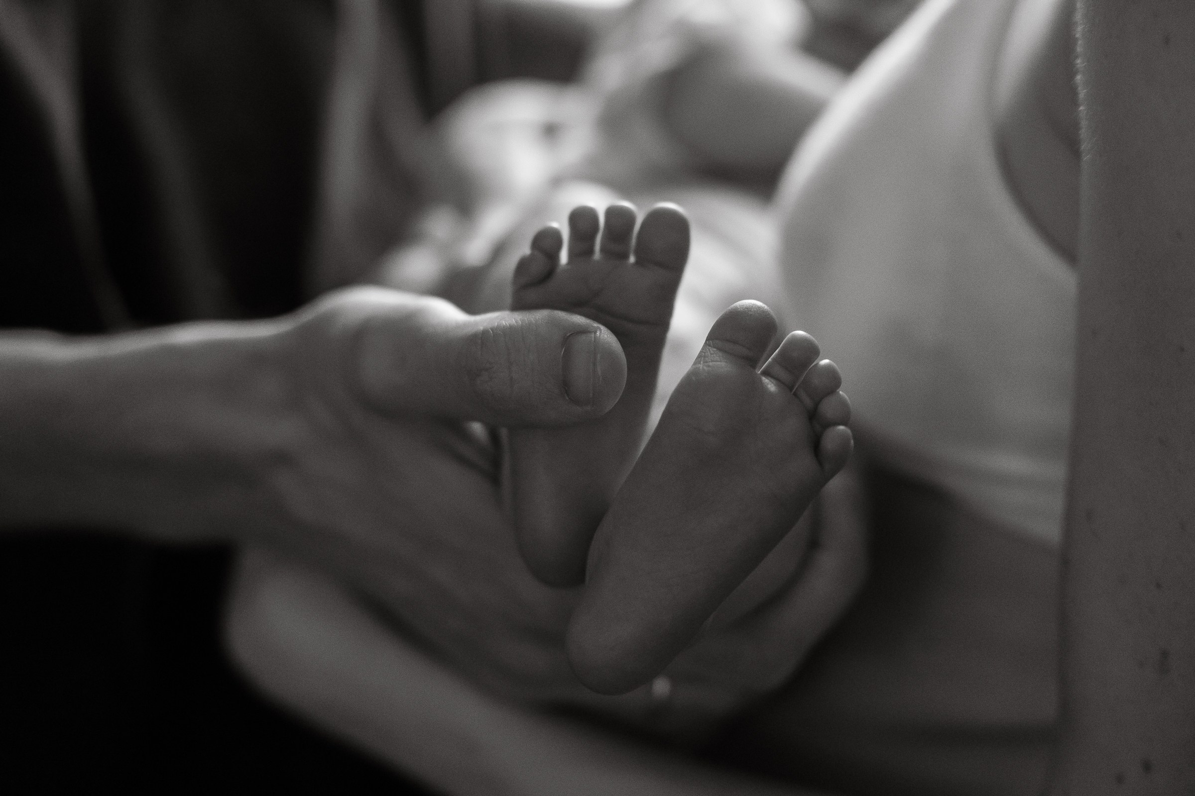 Месяц Александре. Фотограф Москва