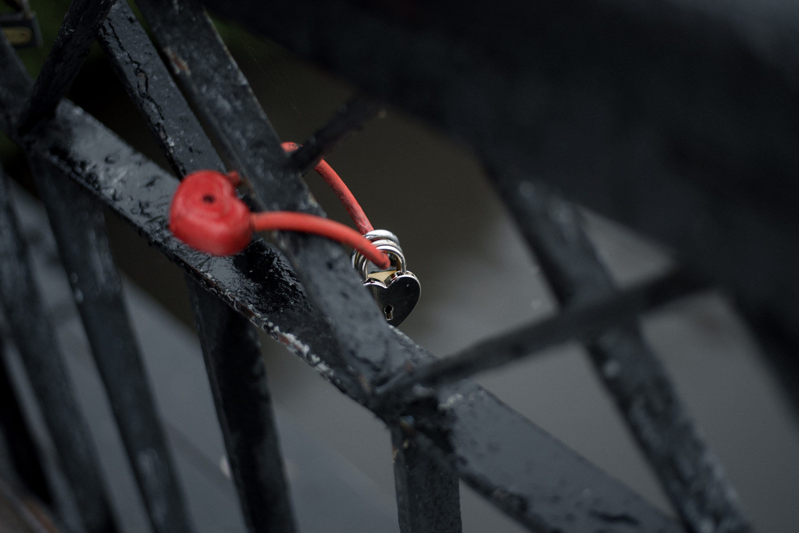 Анастасия и Роман. Семейный и детский фотограф в Воронеже София Минакова