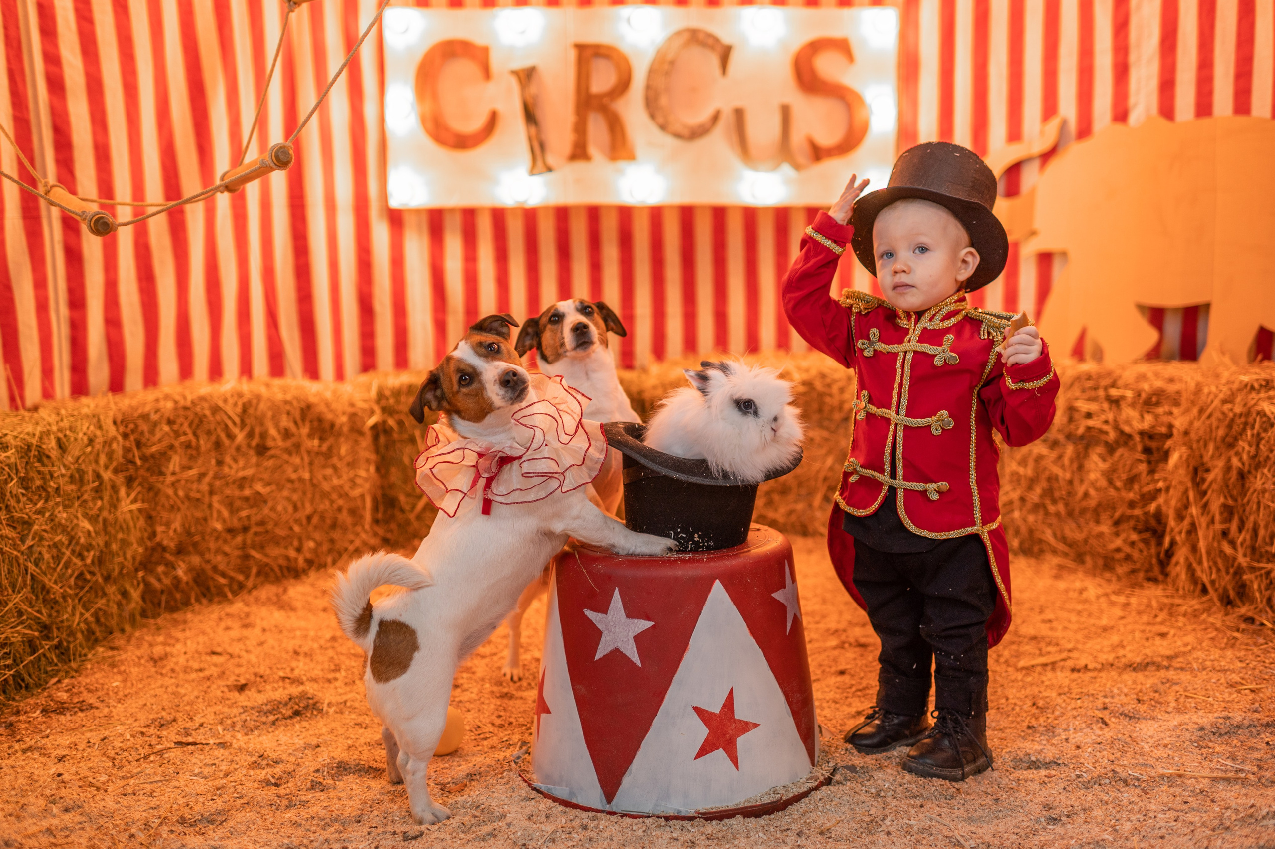 ДО_ПОСЛЕ. Семейный фотограф Екатеринбург Лора Мур