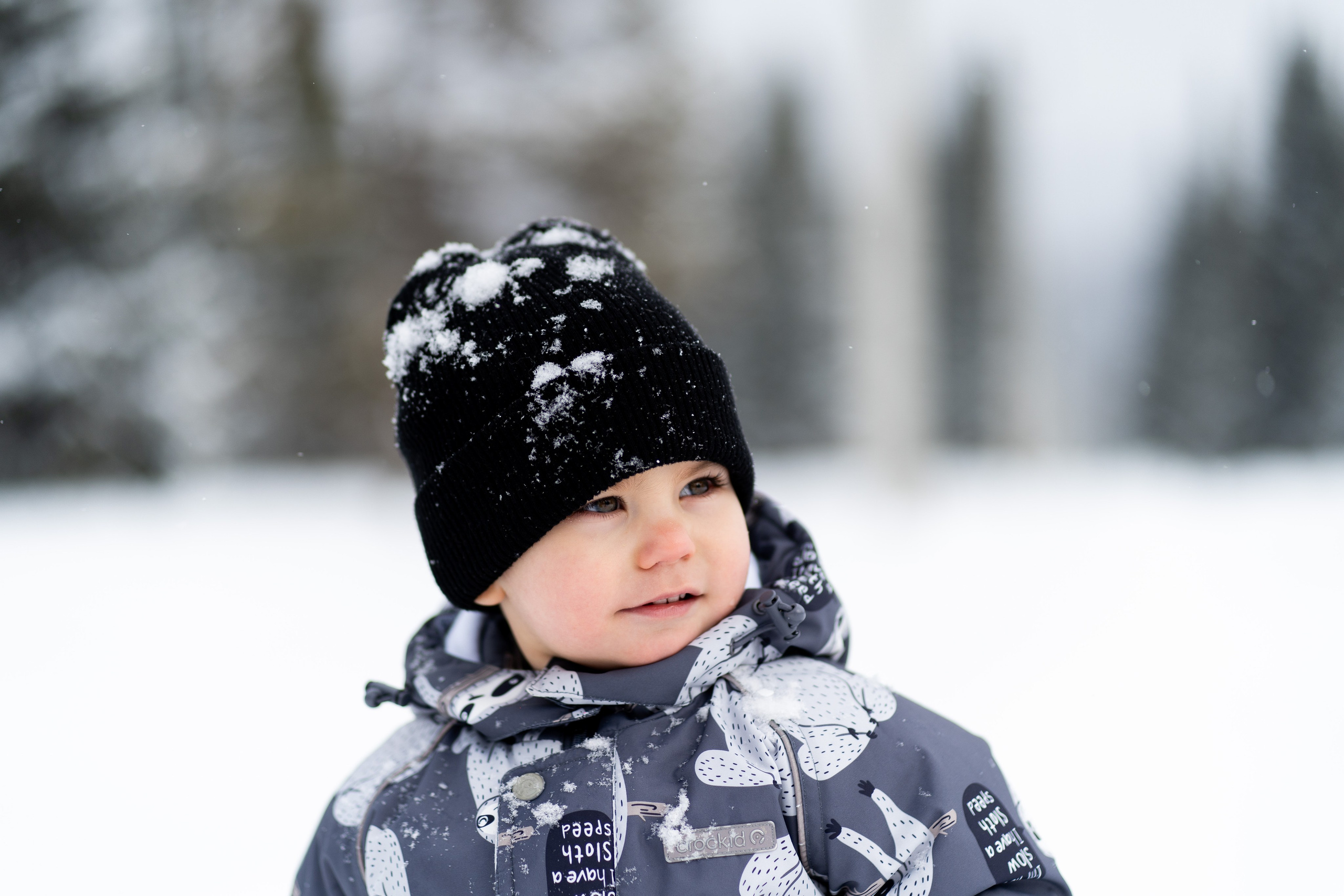 Соня&Лёня. Анастасия Паршукова — фотограф Шерегеш Новосибирск