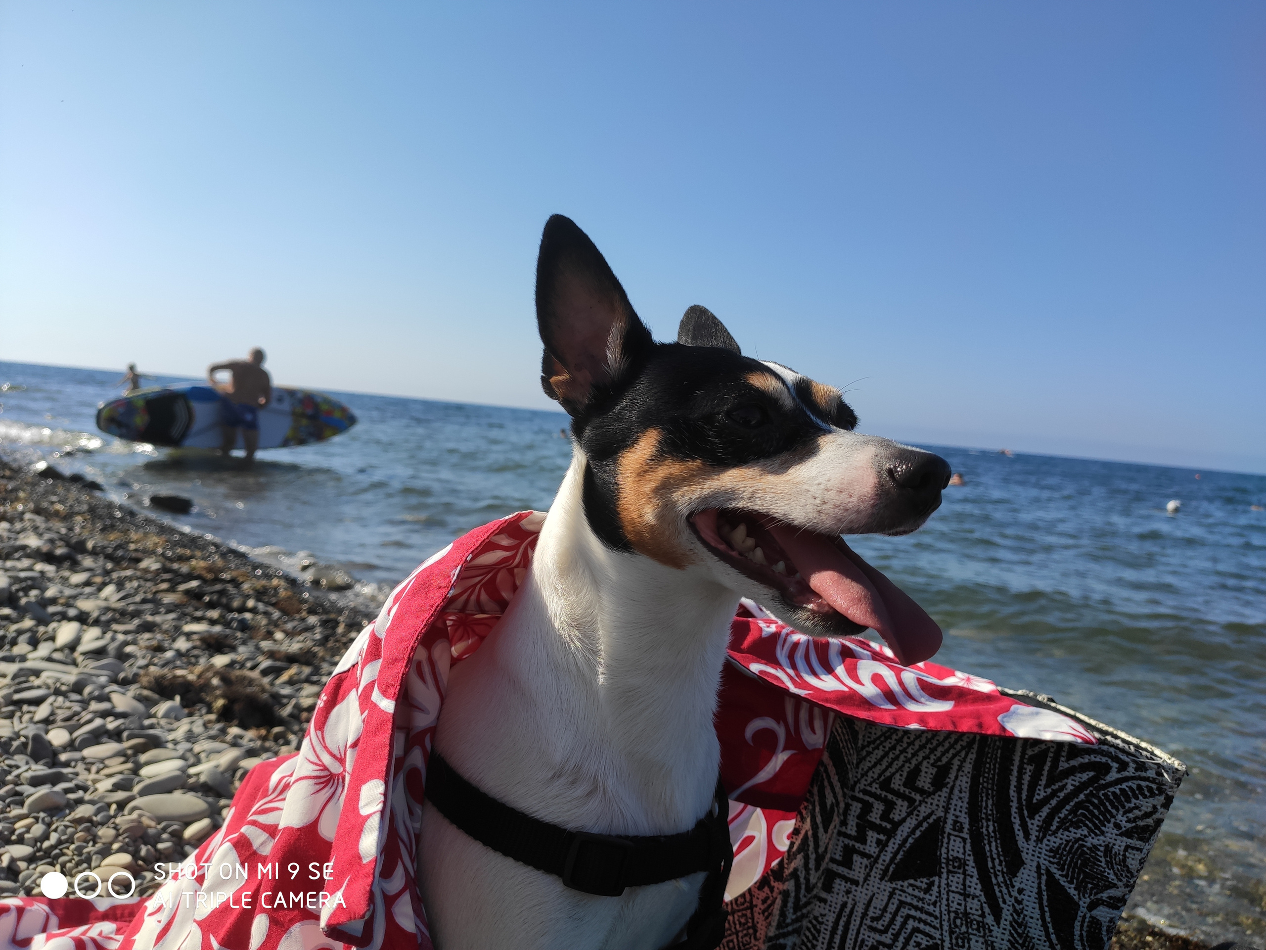 КИПАРИС. Отдых на побережье Чёрного моря