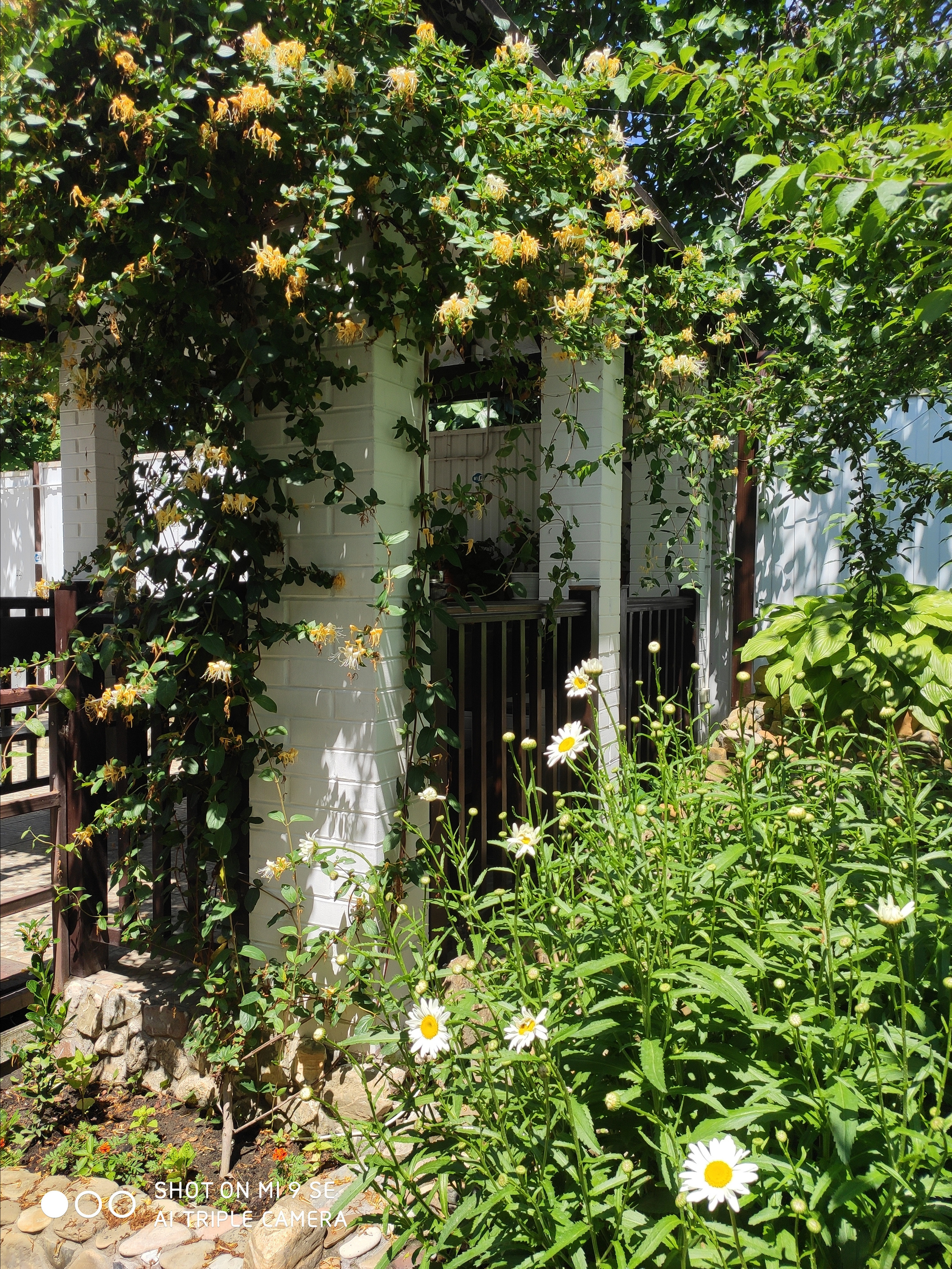 КИПАРИС. Отдых на побережье Чёрного моря