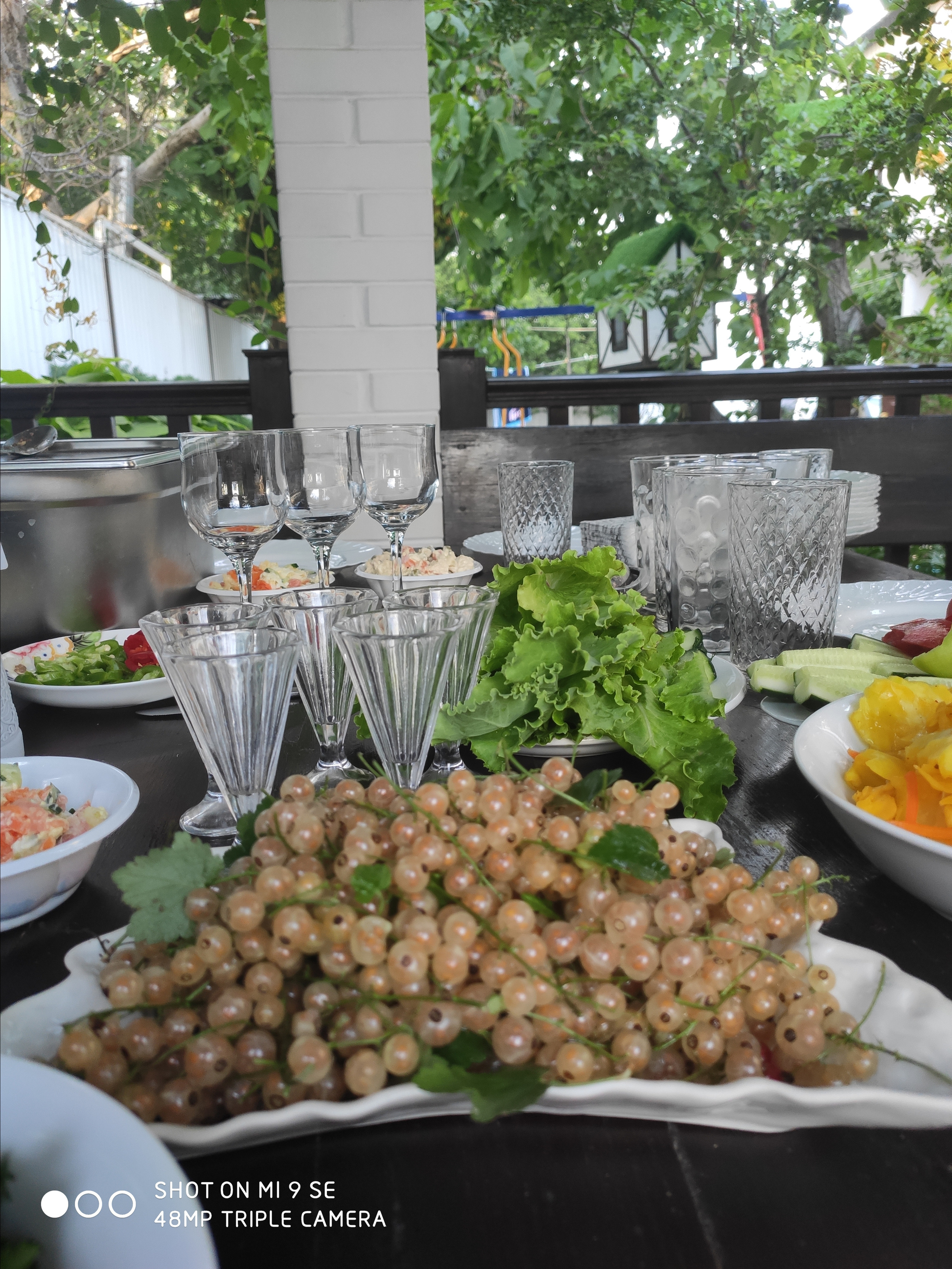 КИПАРИС. Отдых на побережье Чёрного моря